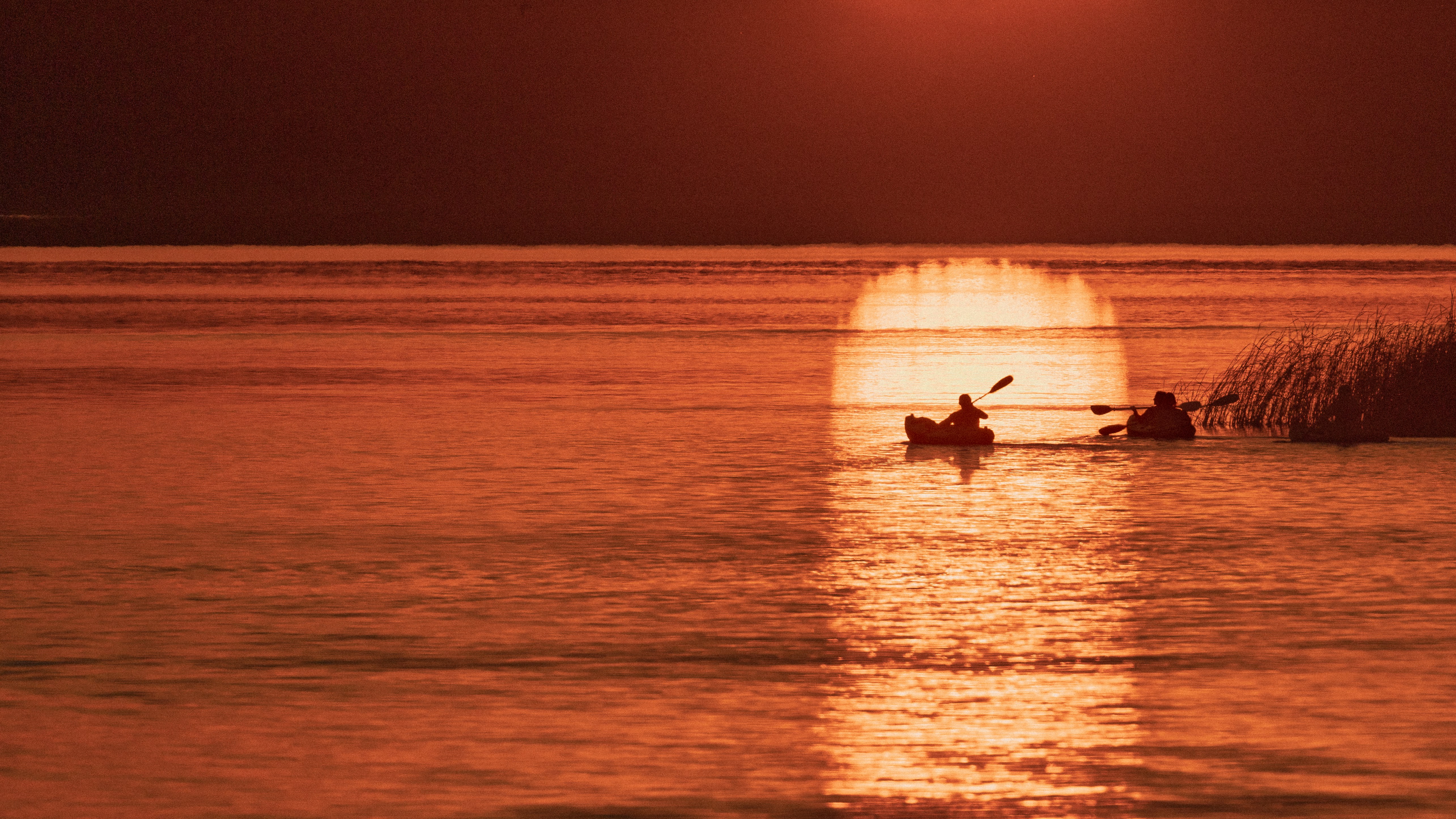 Silhouettes of people paddling kayaks on calm water under a low orange sun