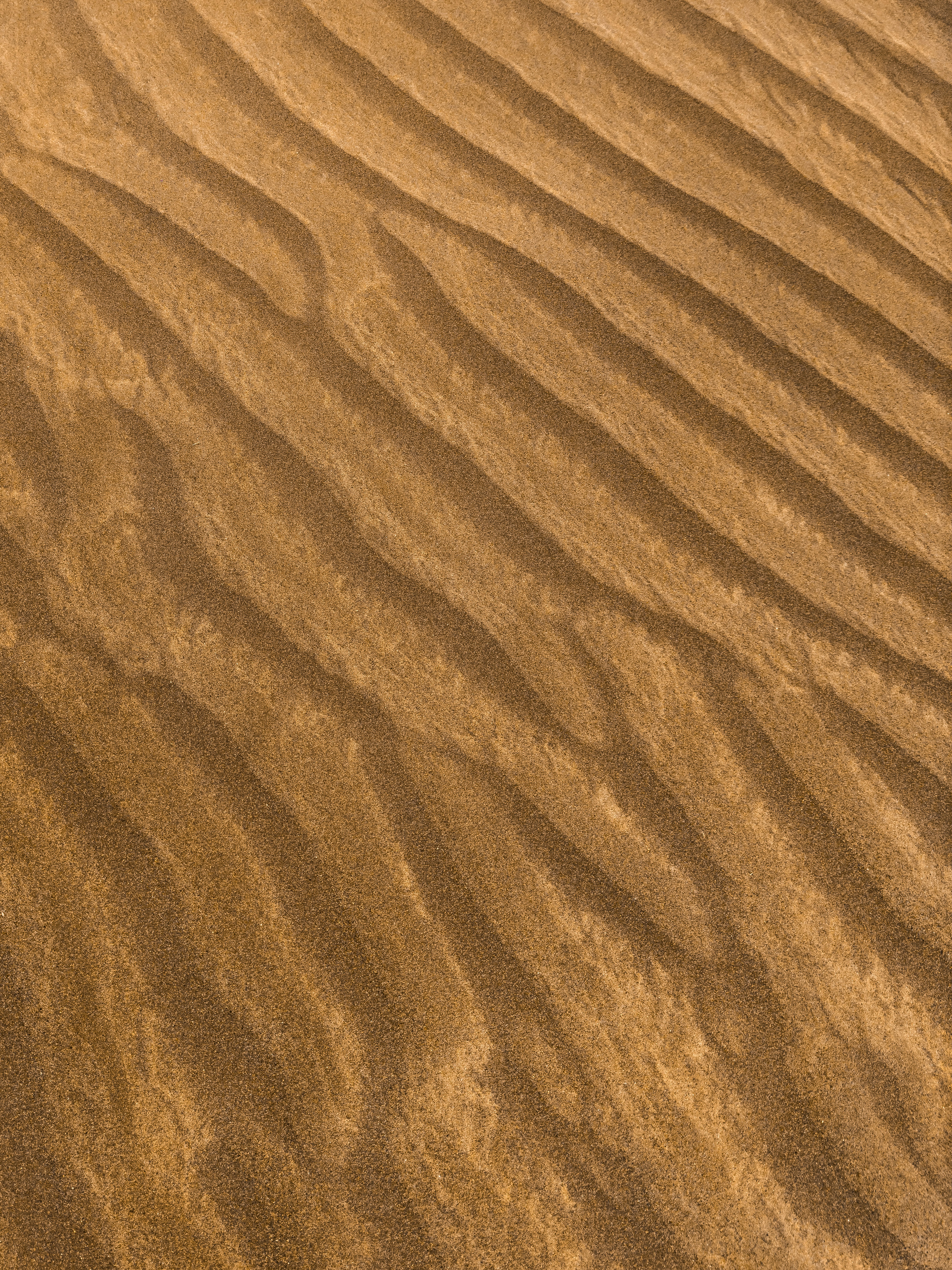 Rippled patterns in golden brown sand on a beach