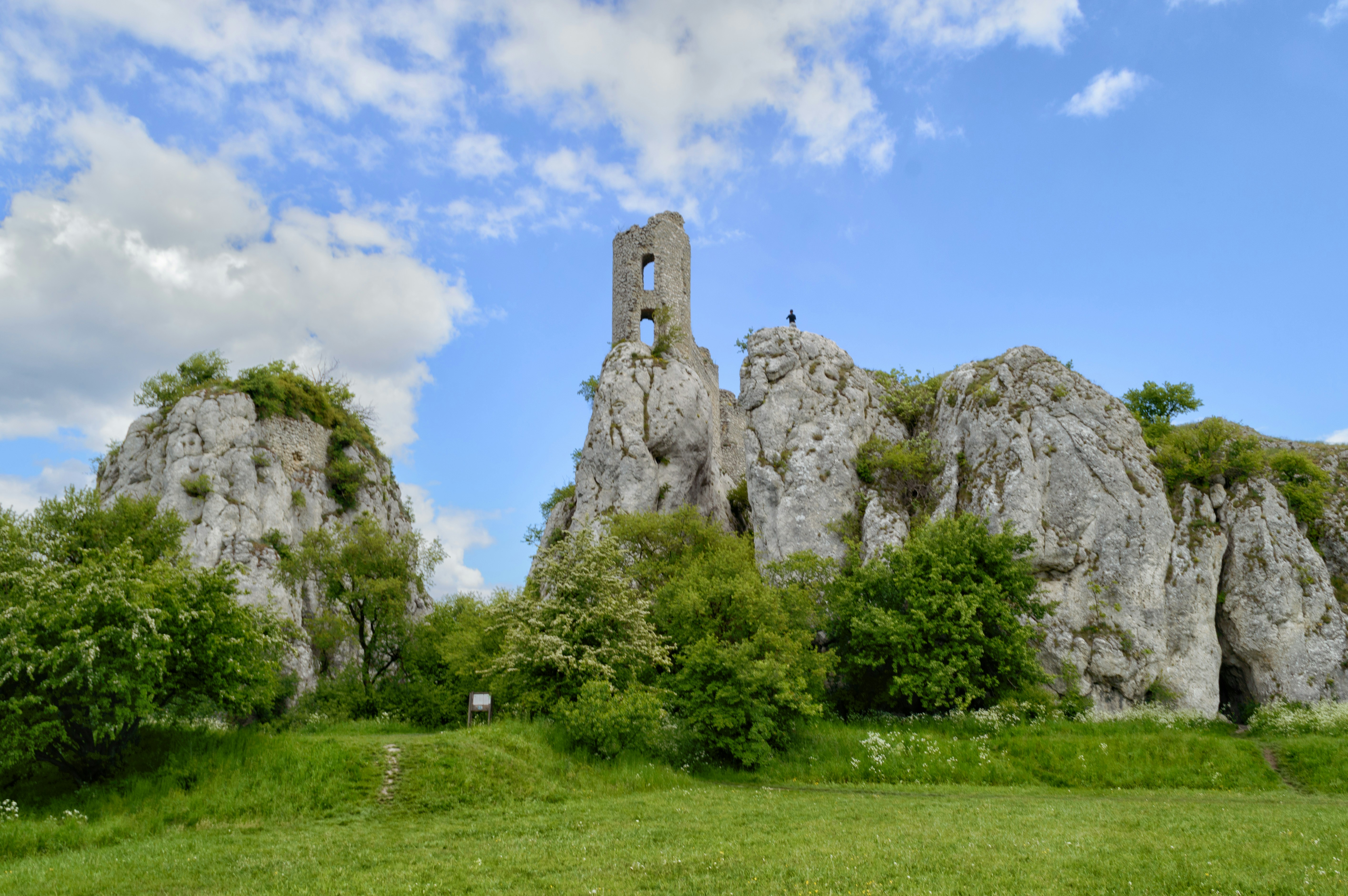 Site de la Fontaine Saint-Denis (Notre-Dame-de-Gravenchon) — Notre-Dame-de-Gravenchon
