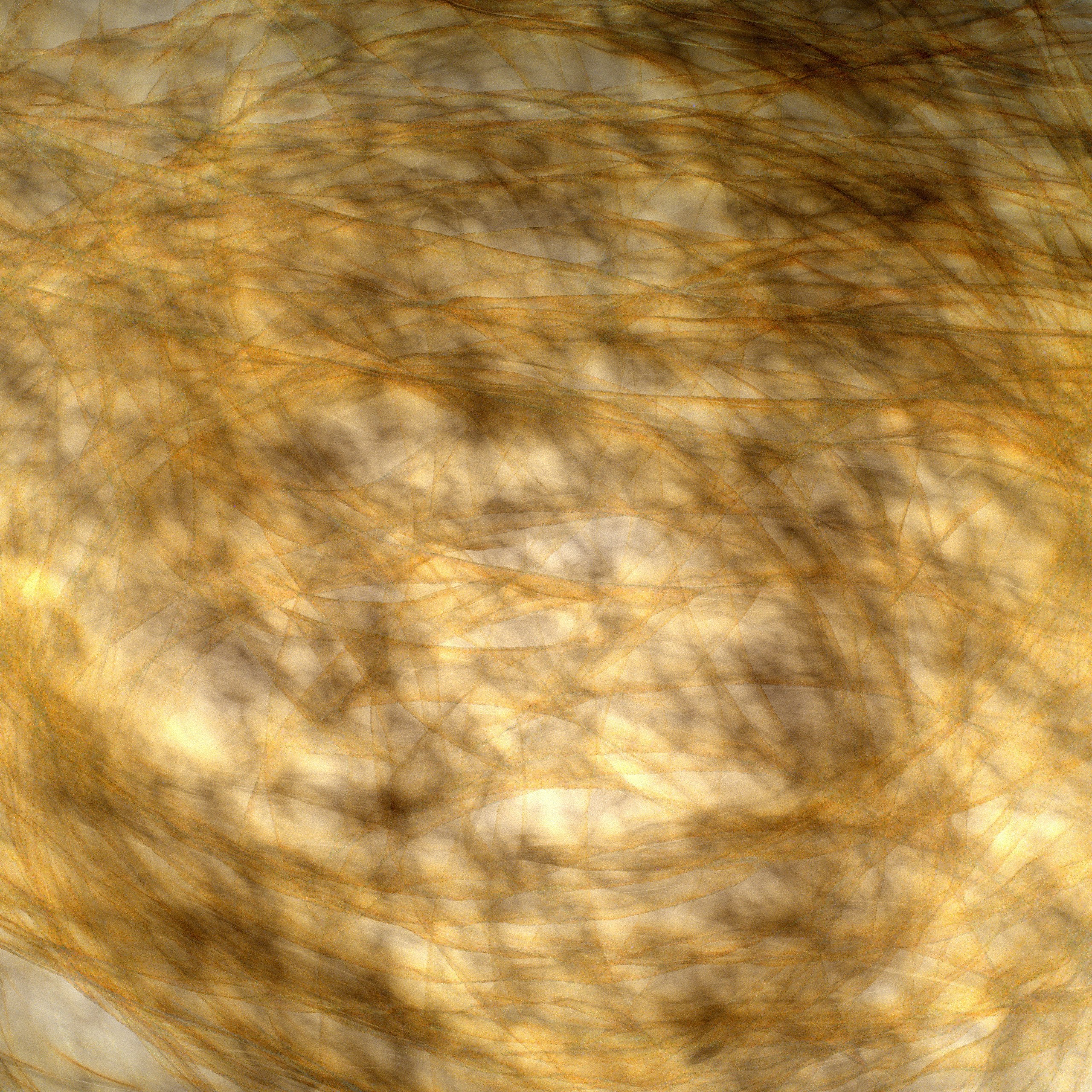 Abstract golden fibers forming a dense web of intersecting lines and shadows