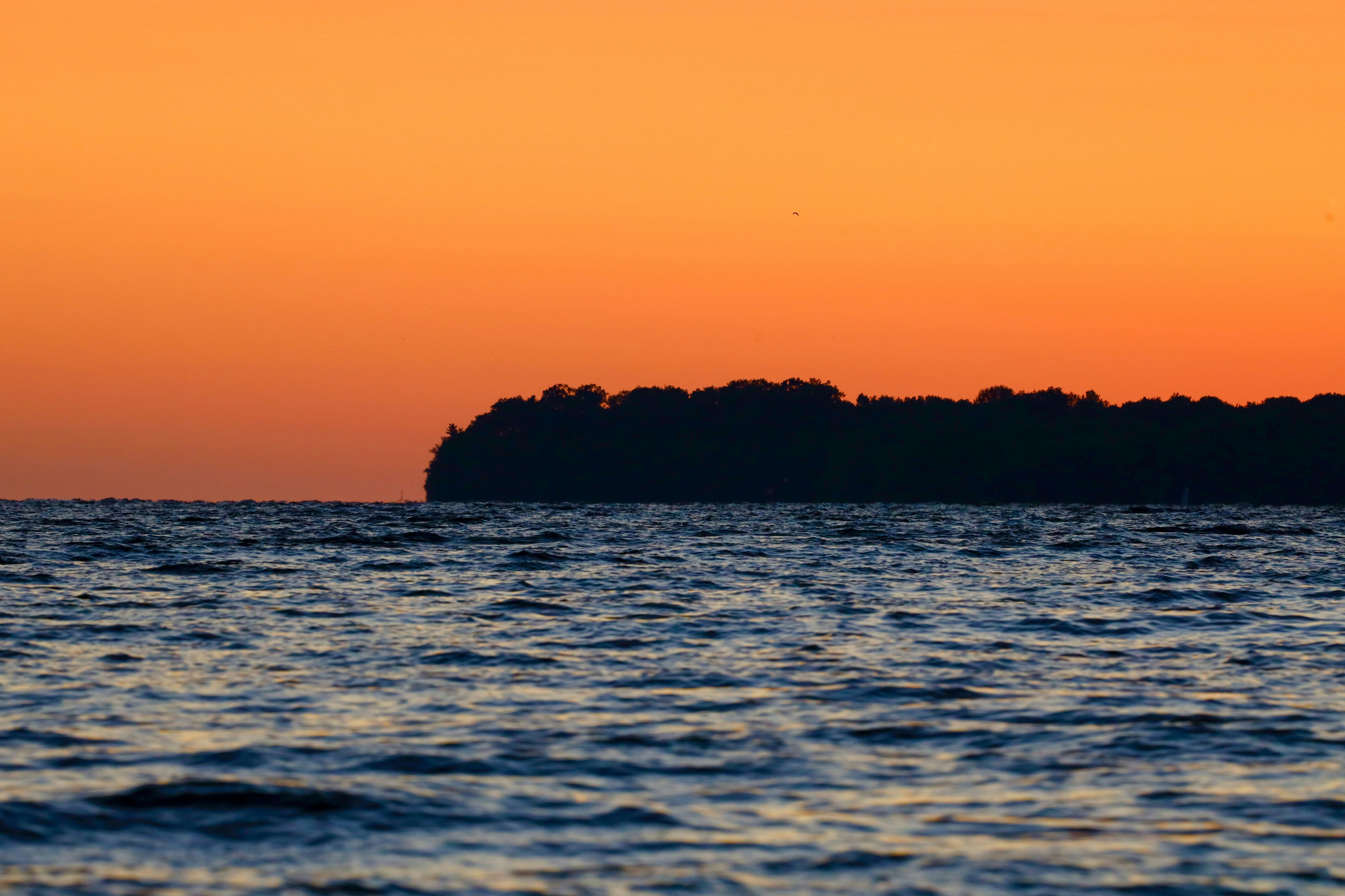 A dark treeline silhouette against a vibrant orange sky above rippling water