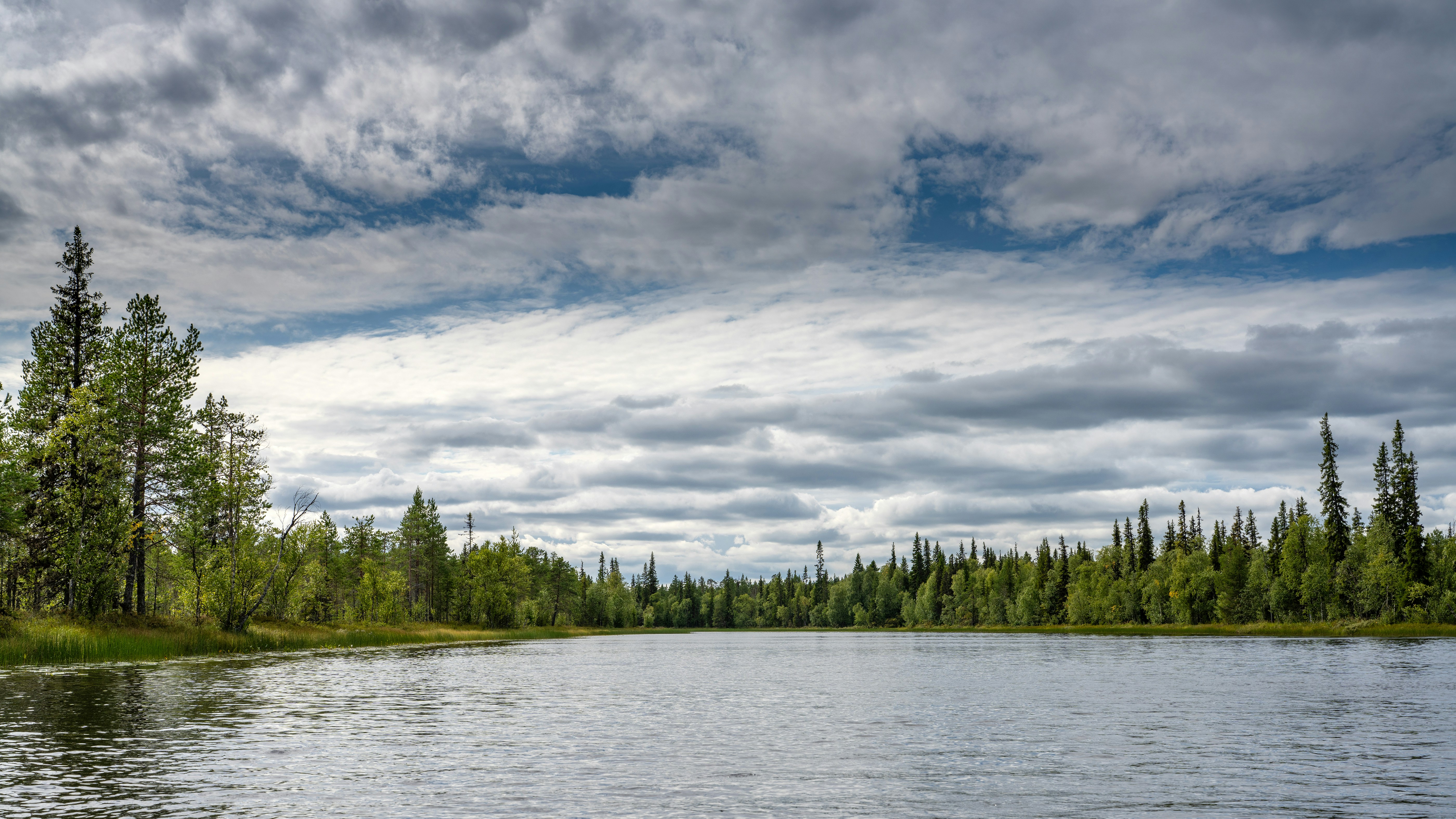 A calm lake surrounded by a dense coniferous forest under a cloudy sky