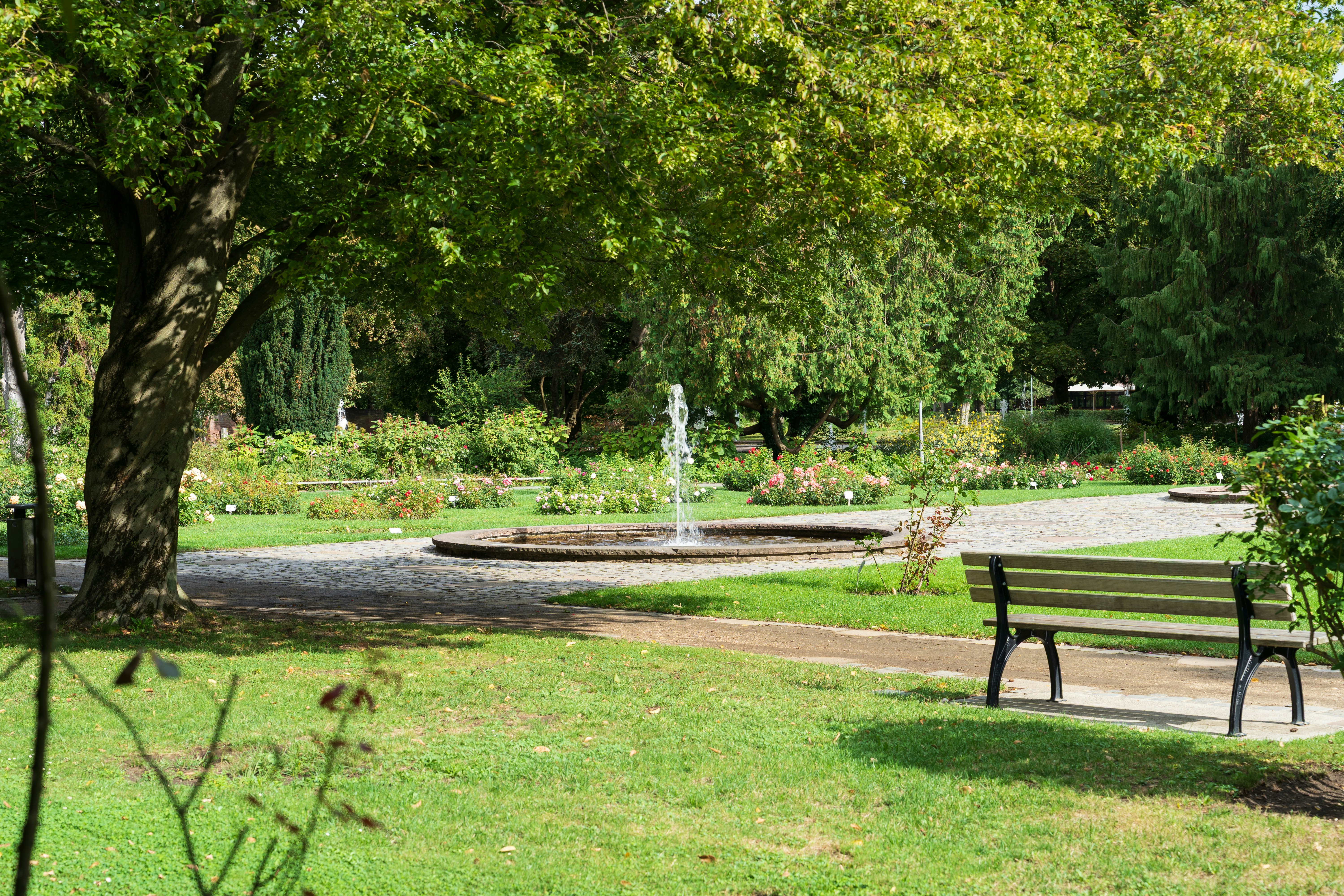 Park with central fountain and bench