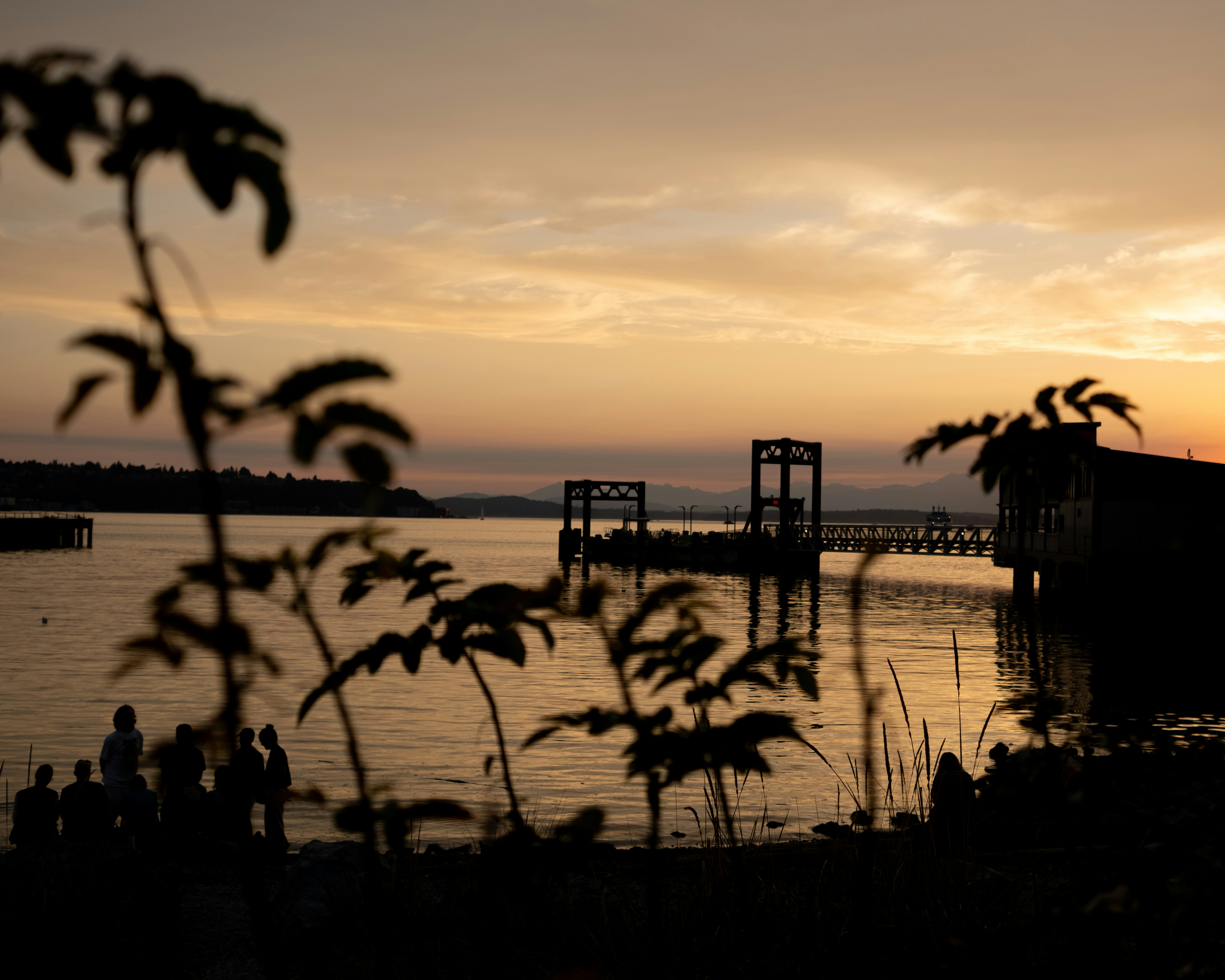 Silhouettes de personnes sur une plage près d’un terminal de ferry à l’heure dorée