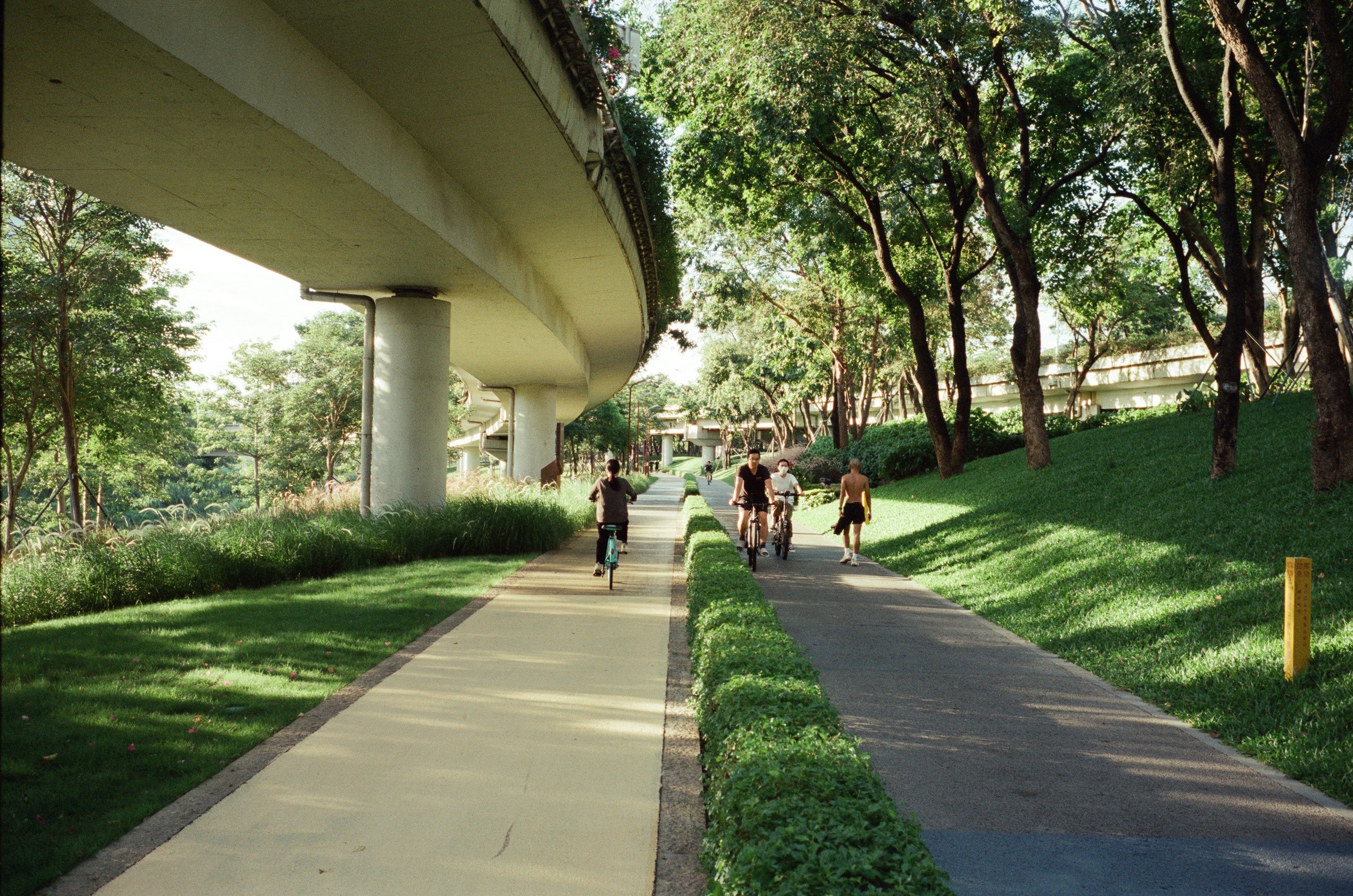 People cycling on a path beneath an overpass