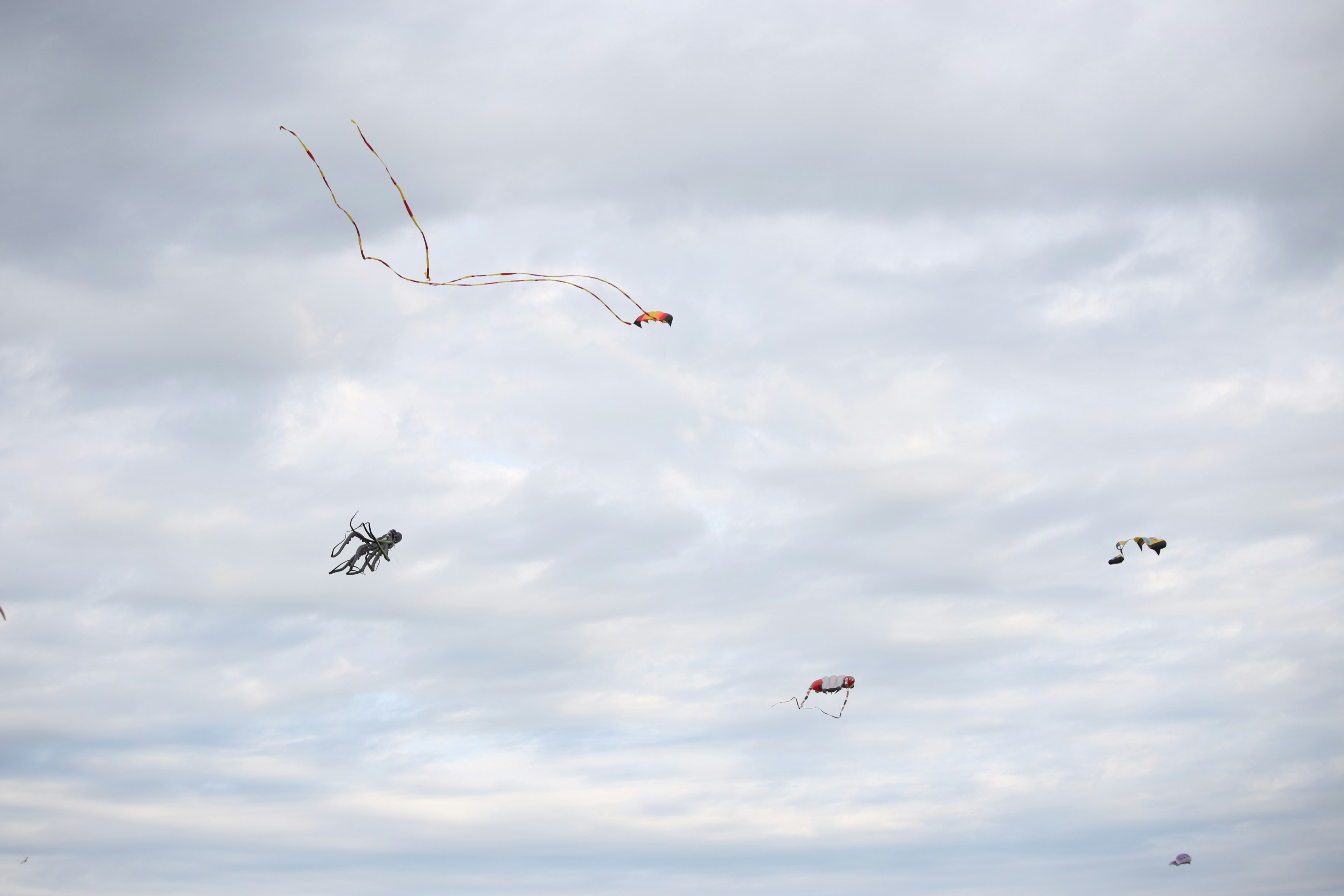 Several colorful kites flying in a cloudy sky