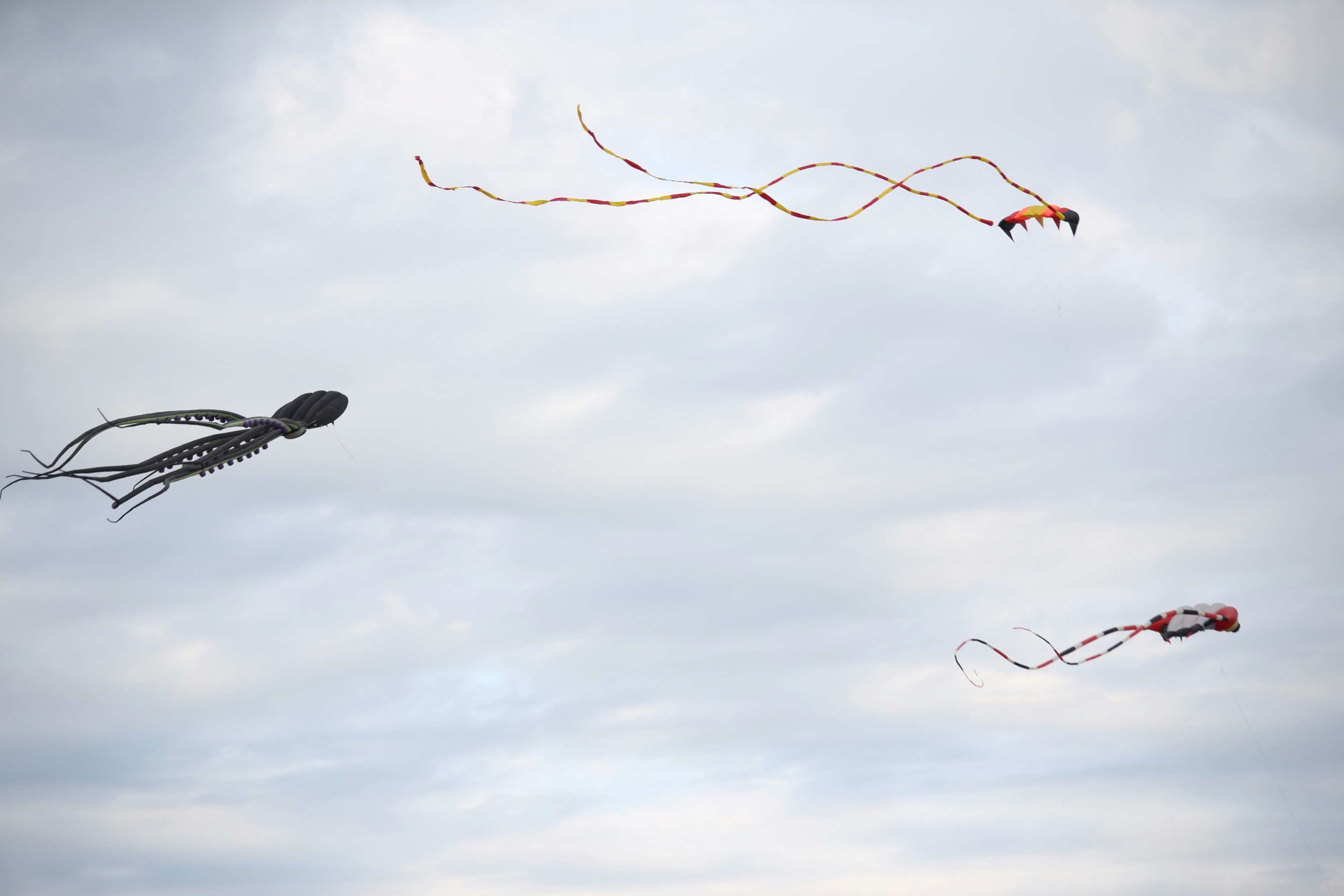 Three colorful kites flying against a cloudy grey sky