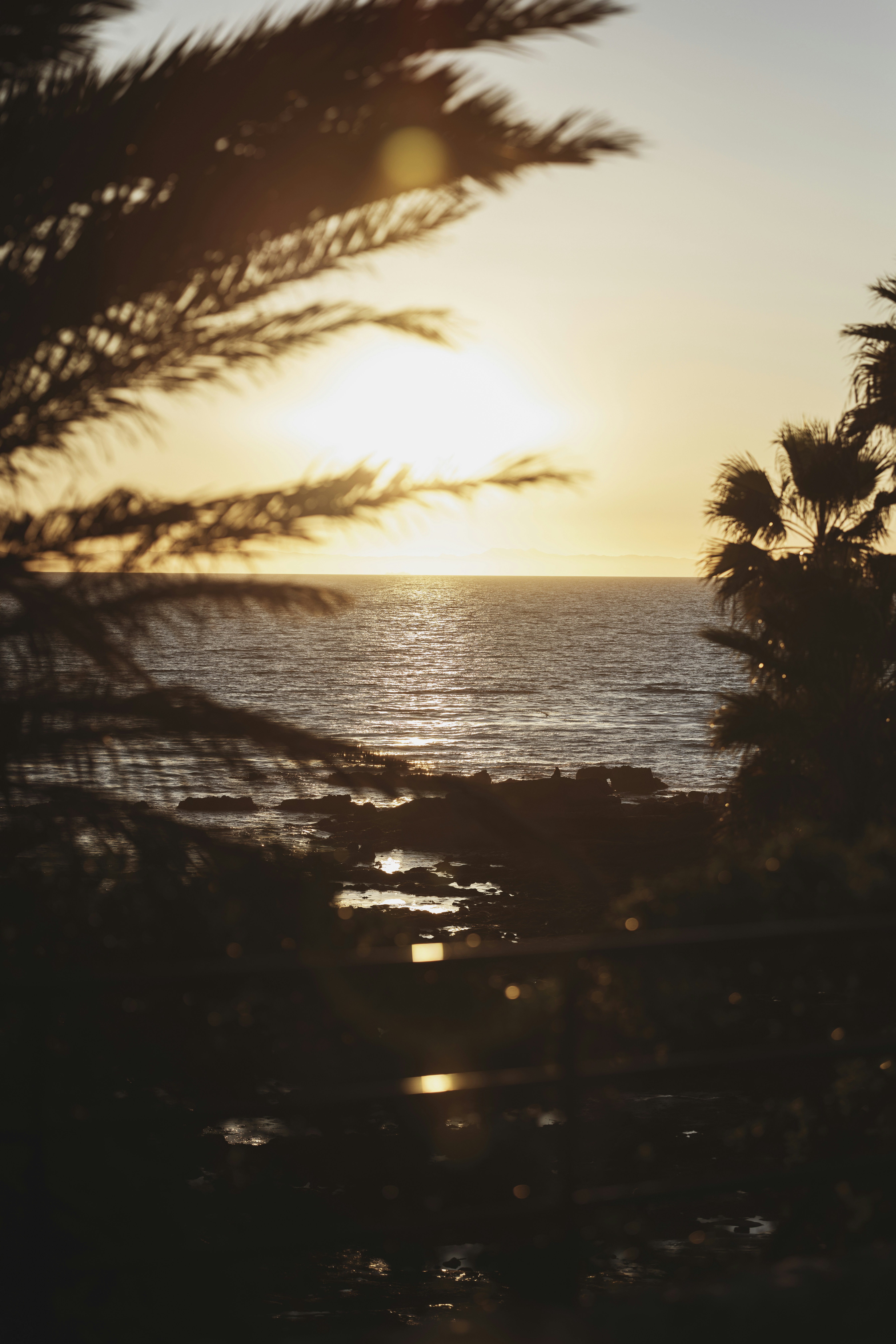 Luguna Beach