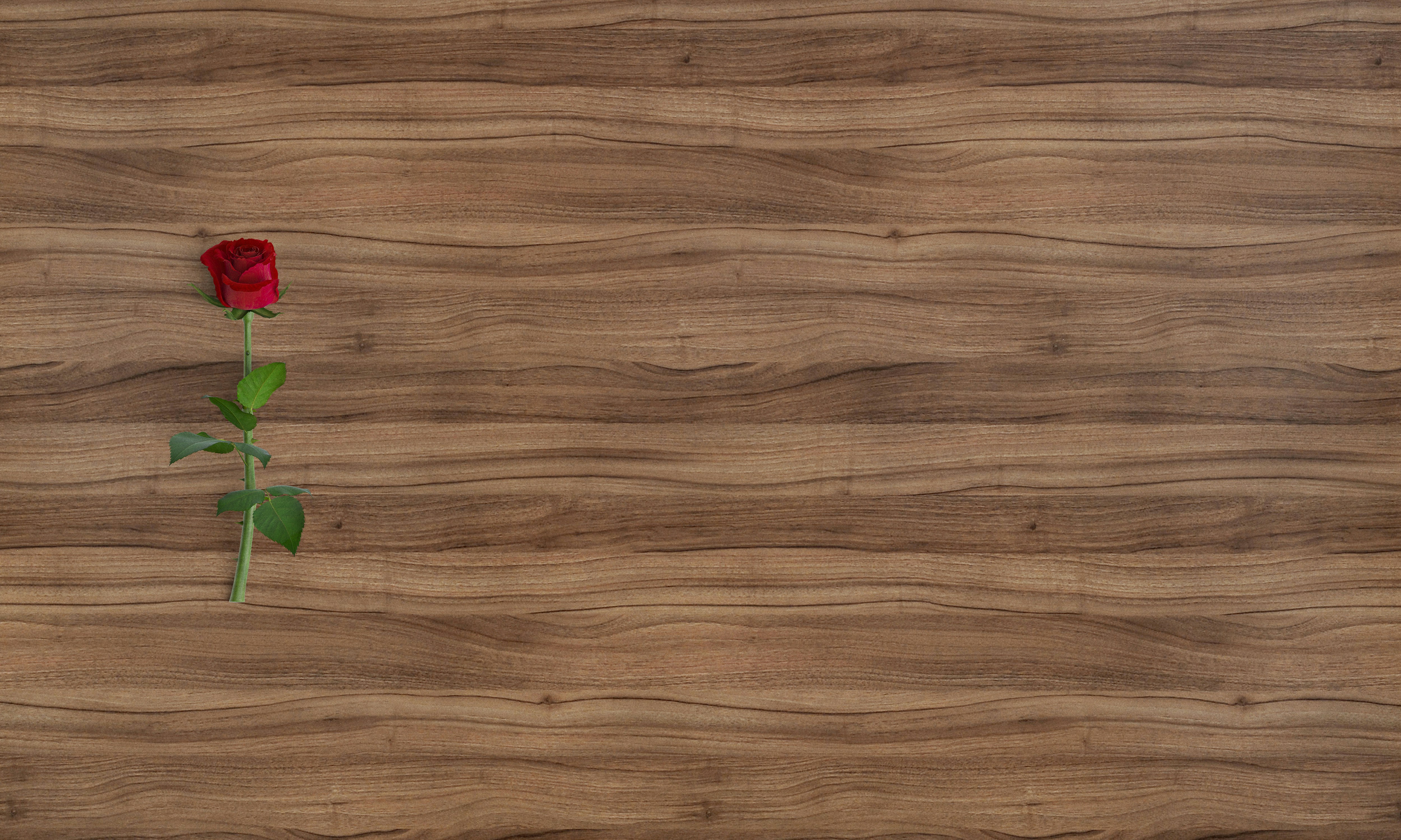 A single red rose with green leaves on a dark wooden surface