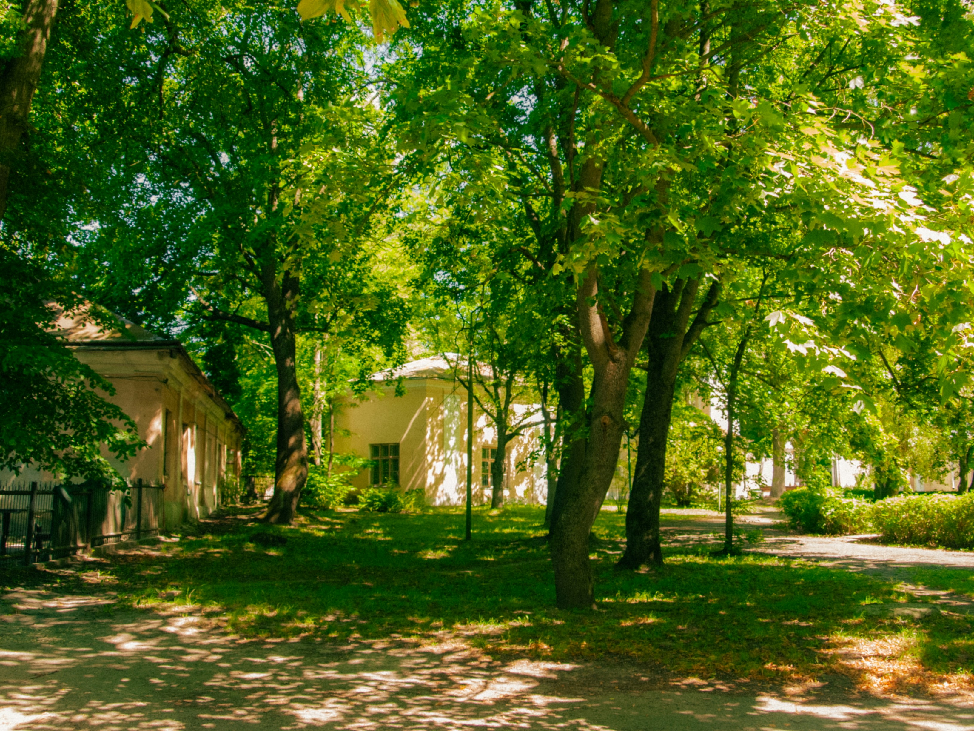 Park with trees and buildings - Free Photo on Unsplash