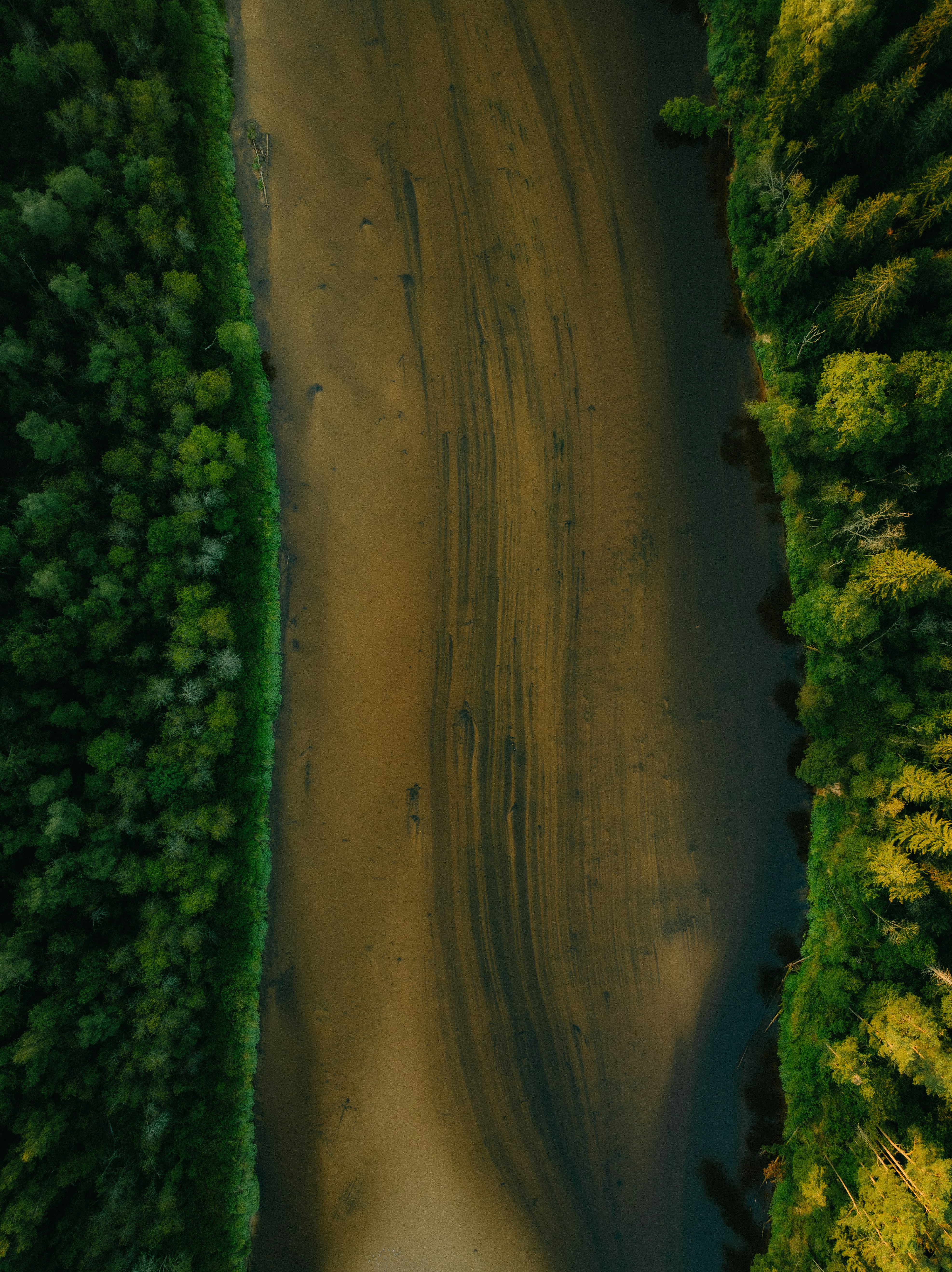 Vista aérea de un río marrón que fluye entre densas orillas verdes de bosque