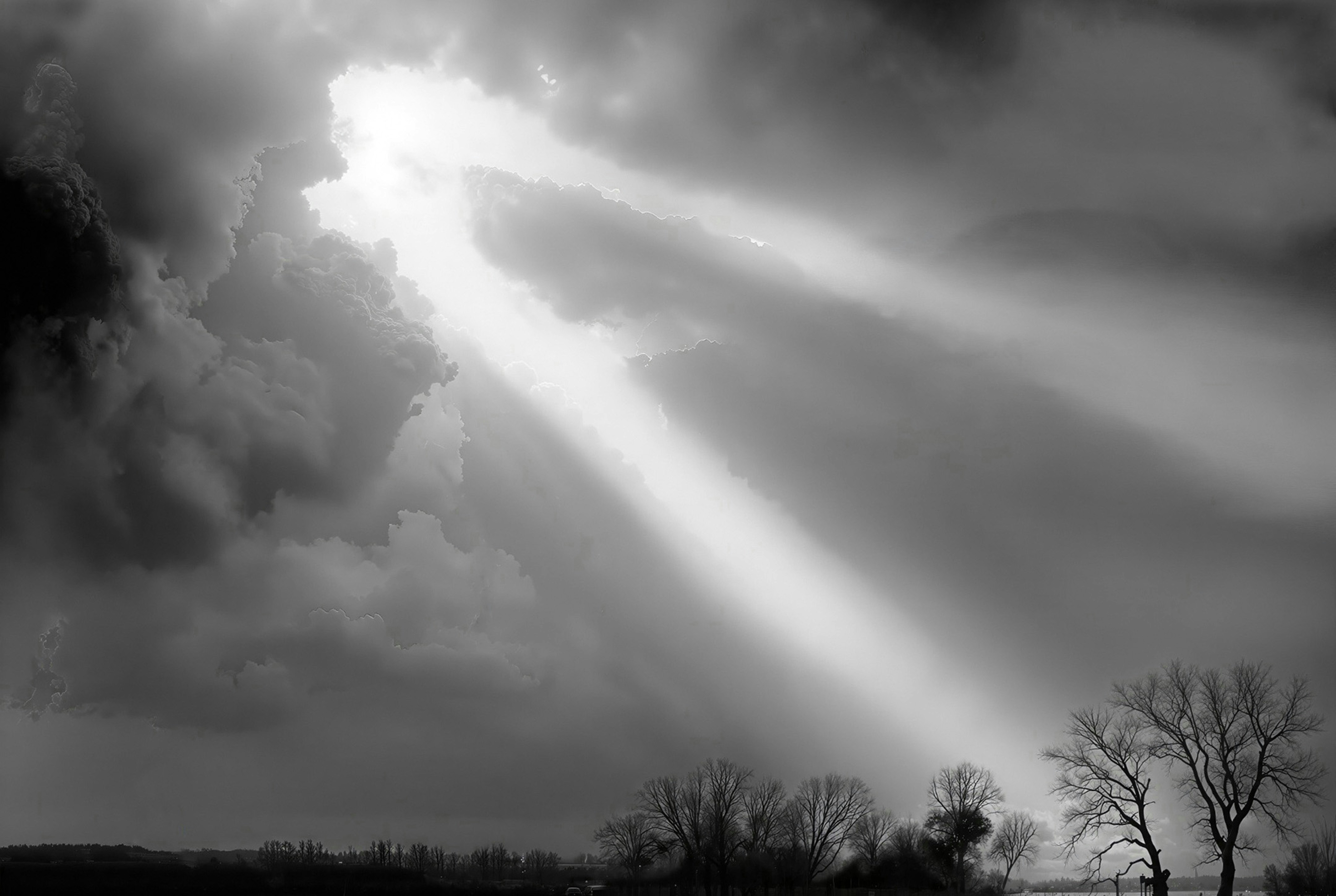 Sunlight streaming through dark storm clouds over a line of bare trees