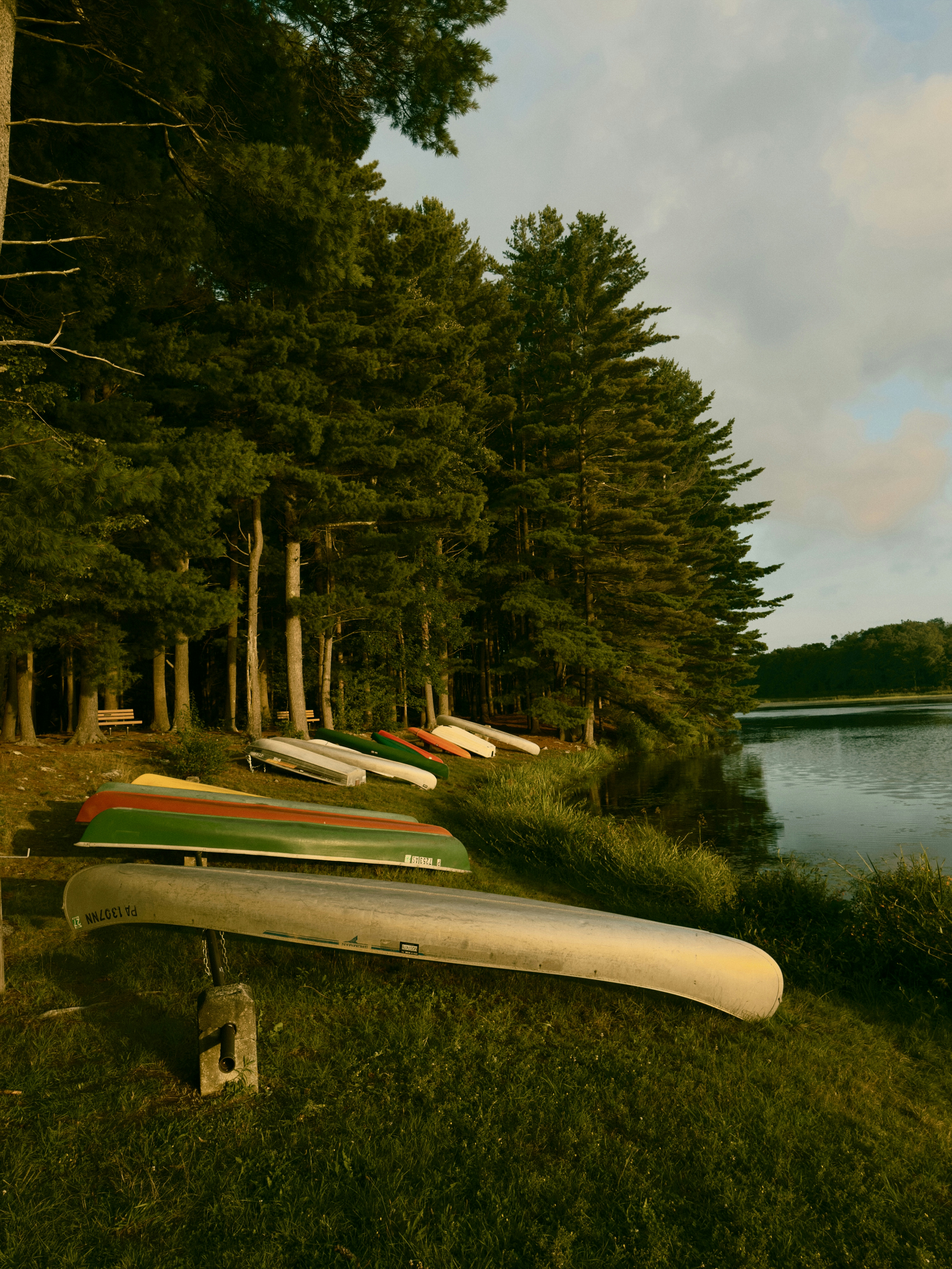A row of colorful canoes resting on the grassy bank of a lake