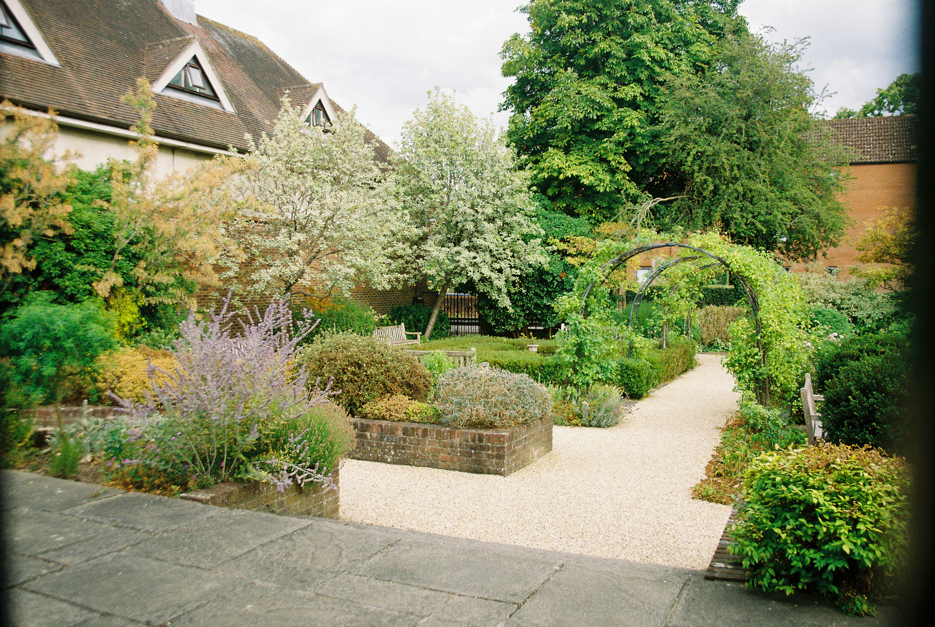 A gravel path through a lush garden with brick planters and a metal arch