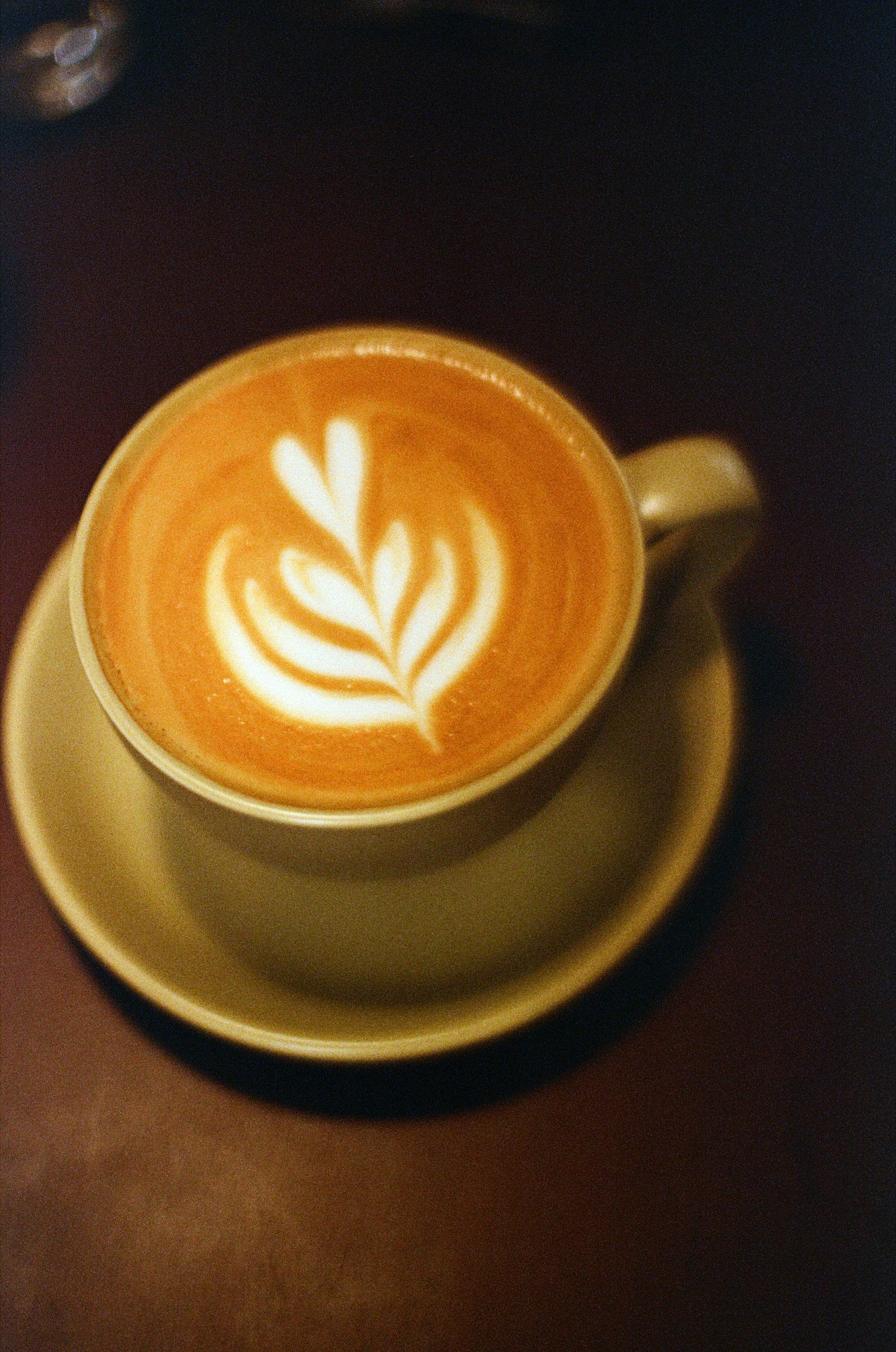 A cup of latte with white leaf latte art on a saucer