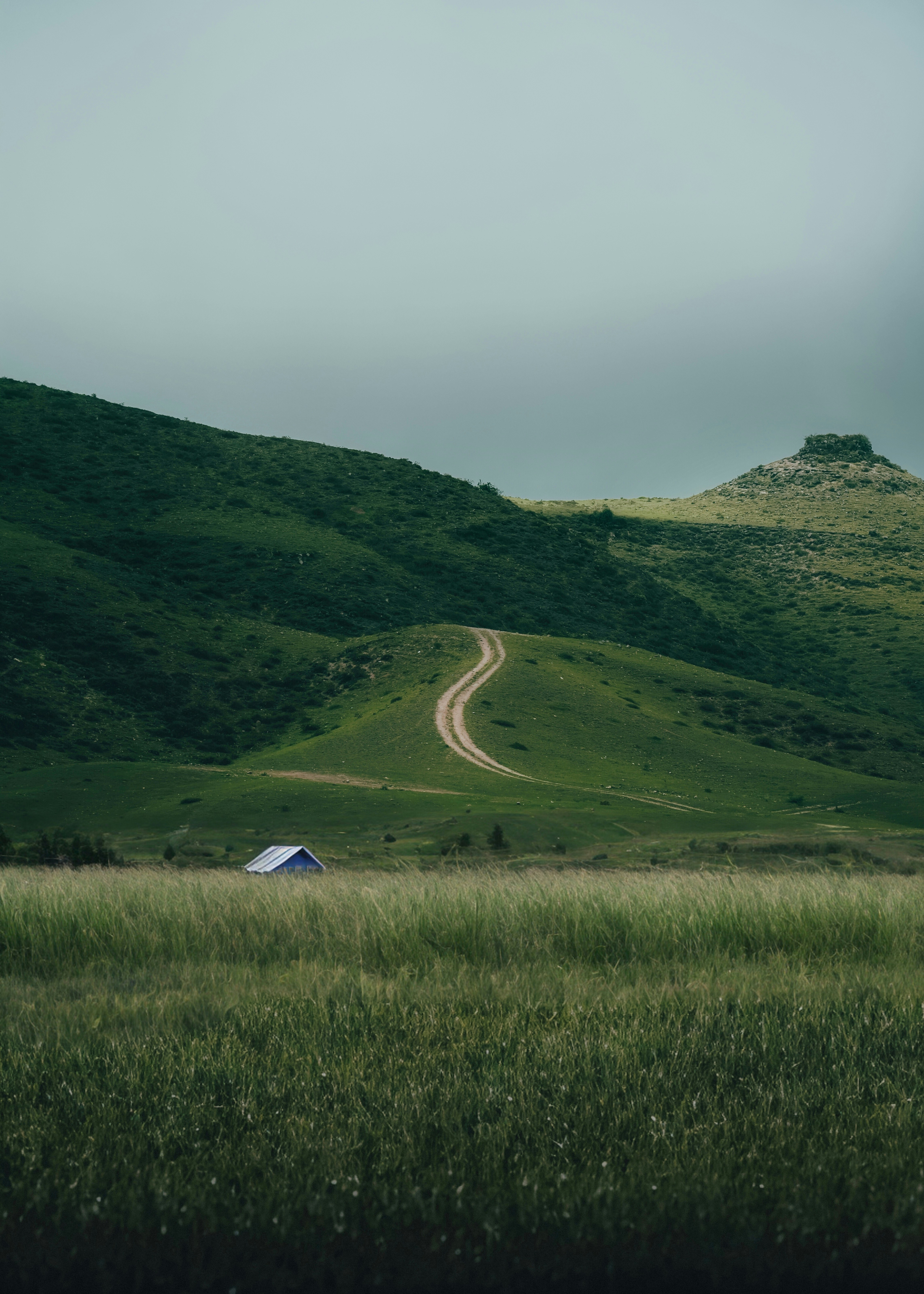 A small blue cabin in a grassy field below rolling green hills