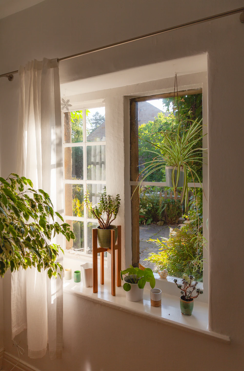 An open window with house plants and soft daylight on the sill