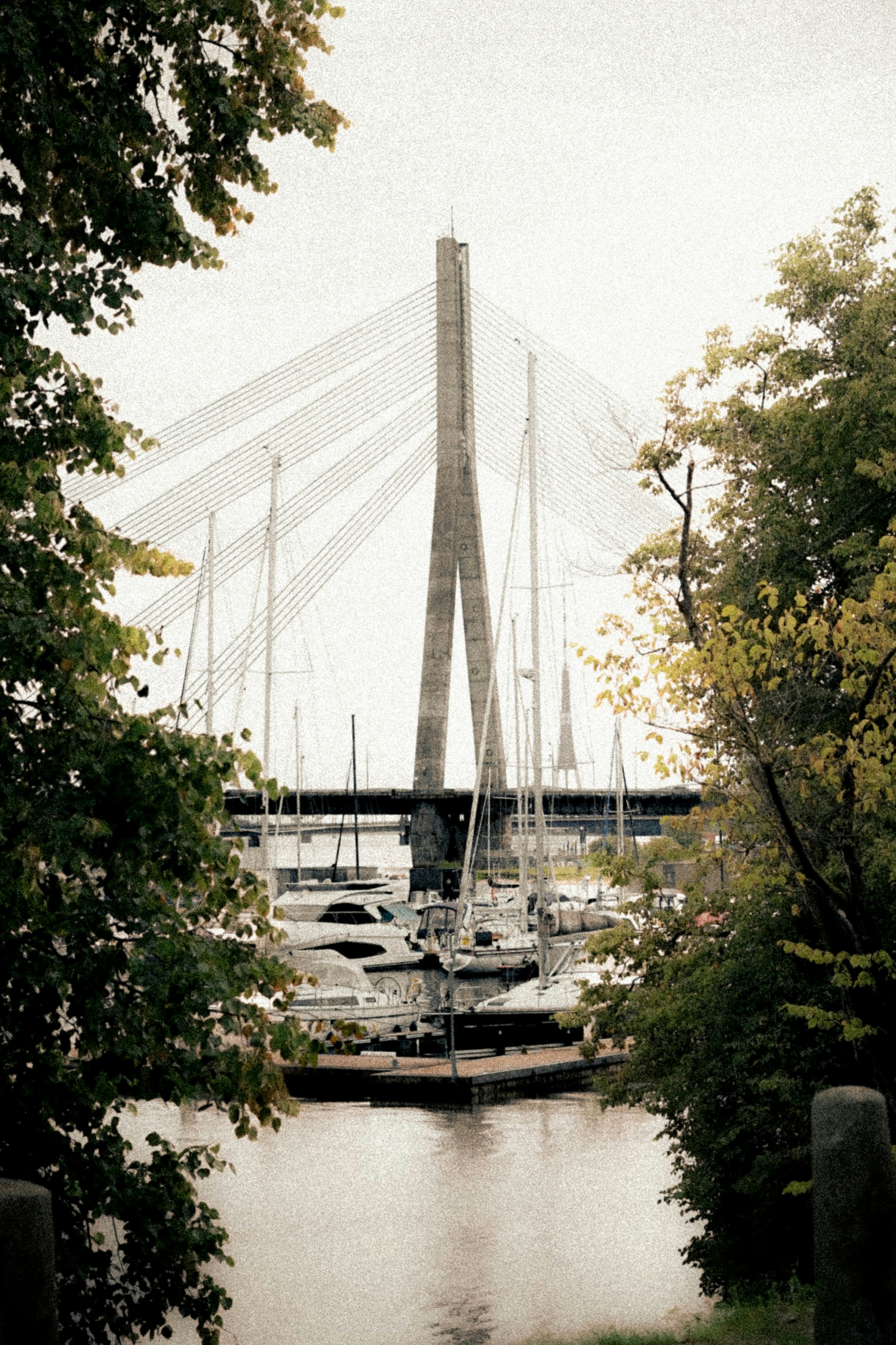 A cable-stayed bridge rising above a marina filled with sailboats and yachts
