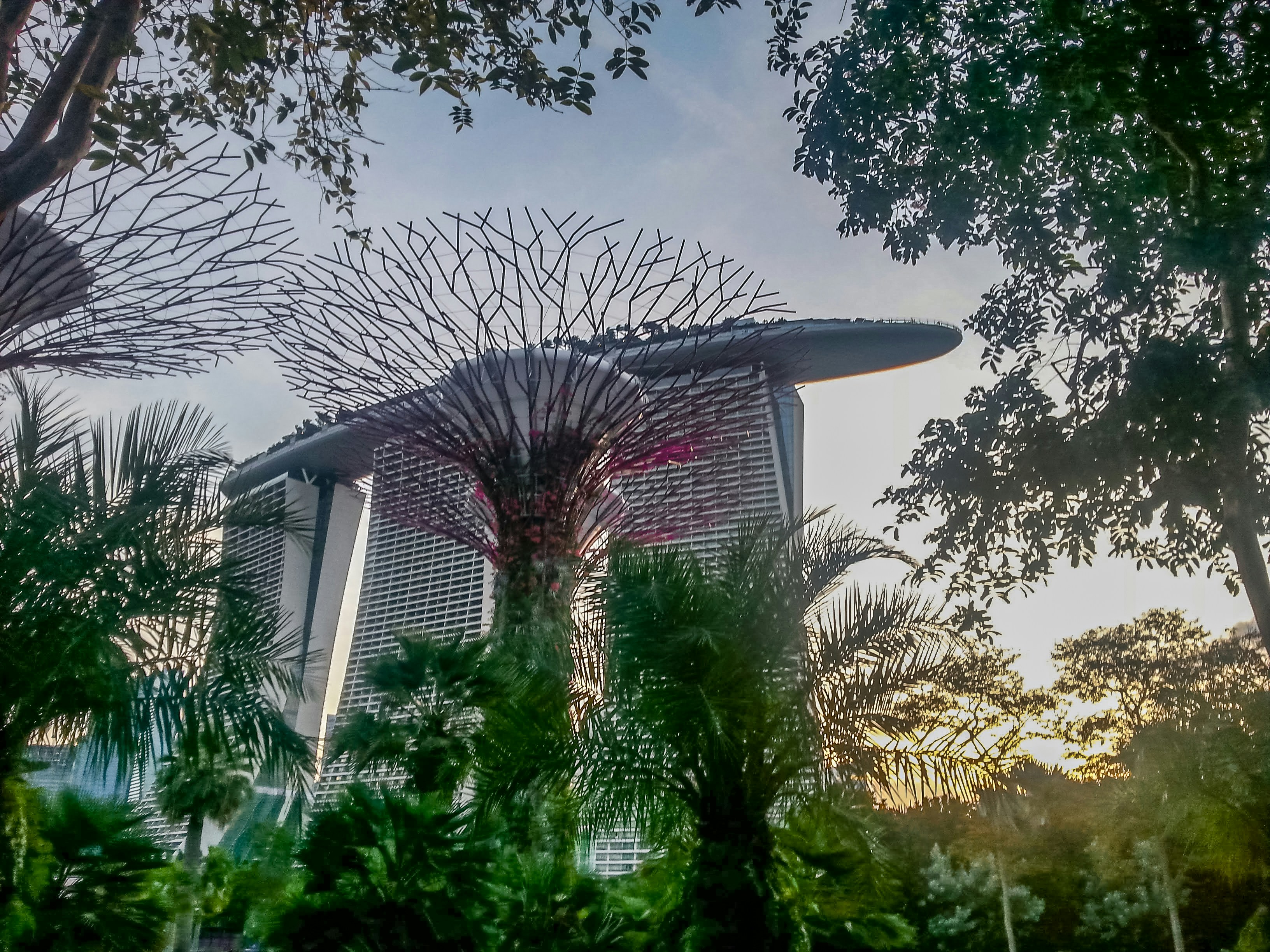 Supertree structure and Marina Bay Sands hotel framed by lush tropical trees in Singapore