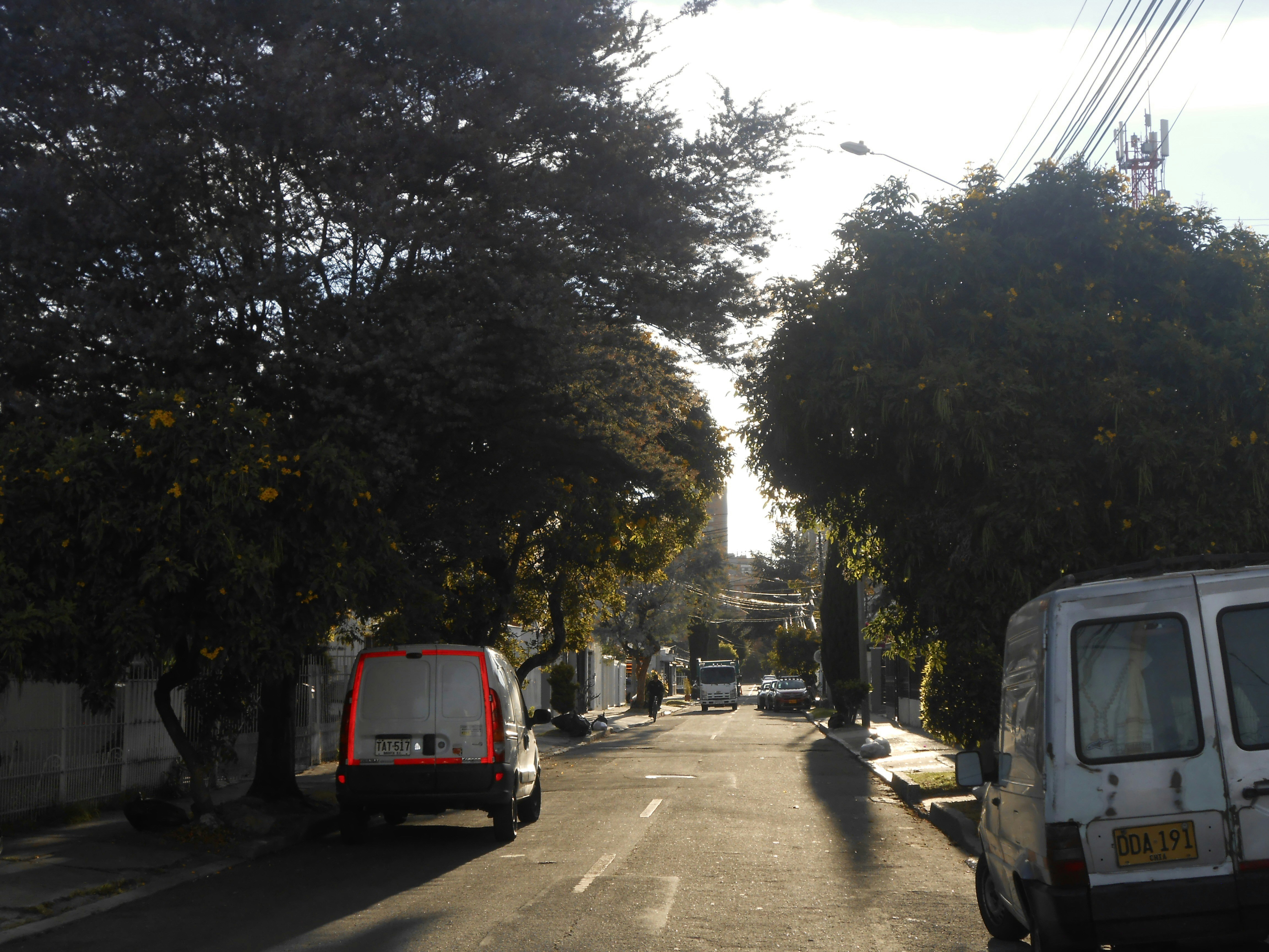 Two white vans parked on a tree-lined street
