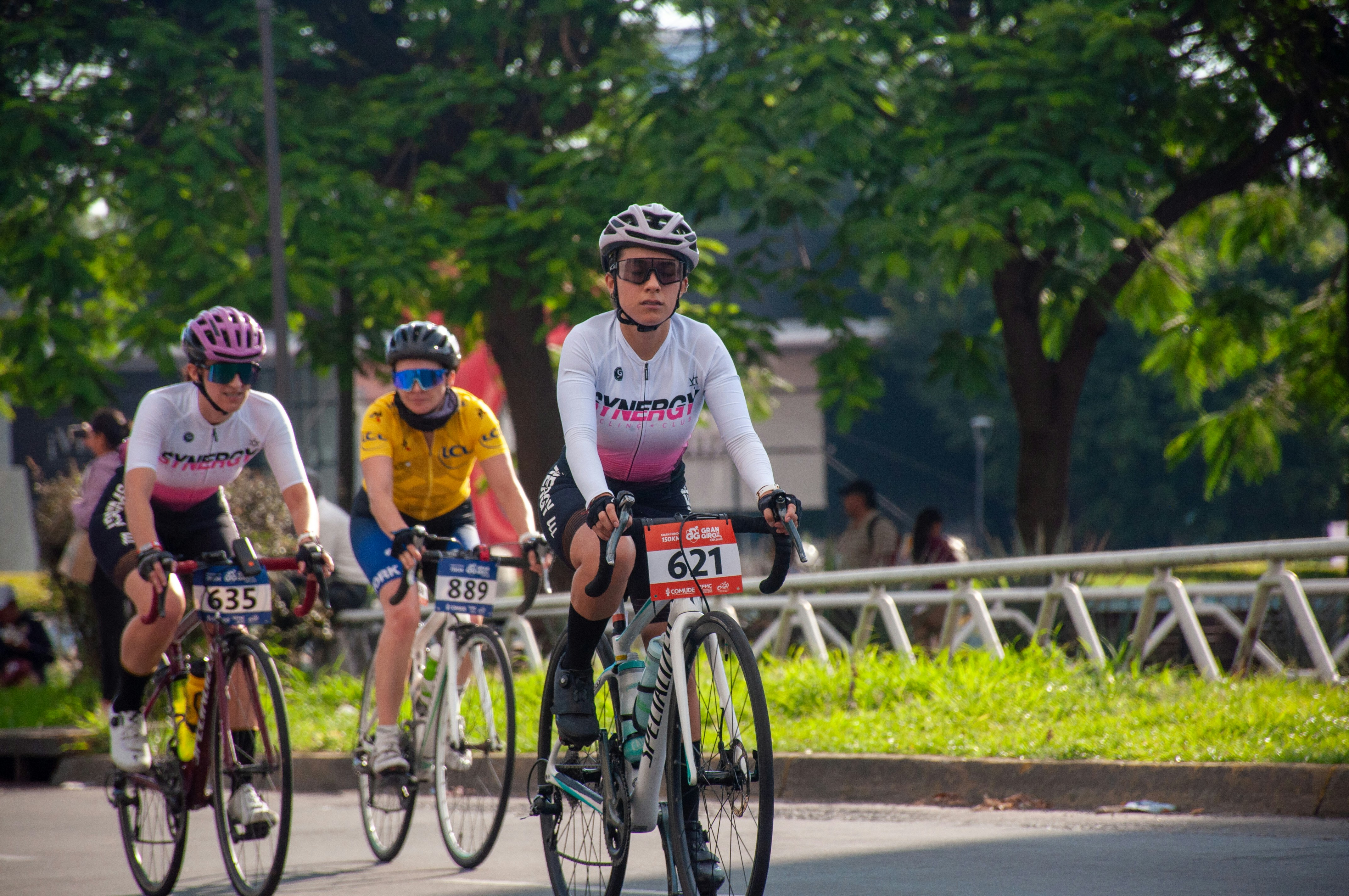 Three cyclists in professional gear riding road bikes along a tree-lined road