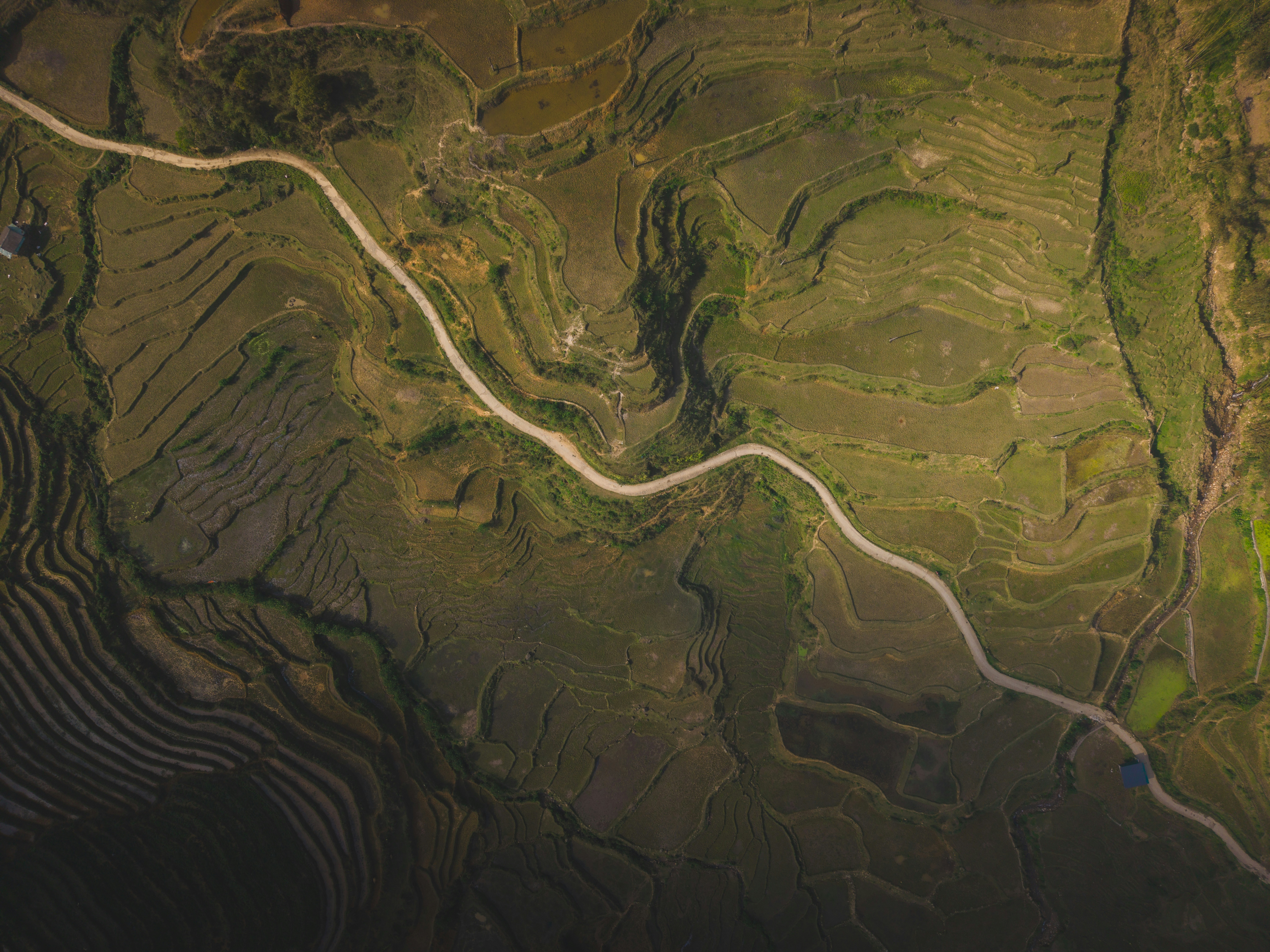 An aerial view of terraced rice fields with a winding dirt road