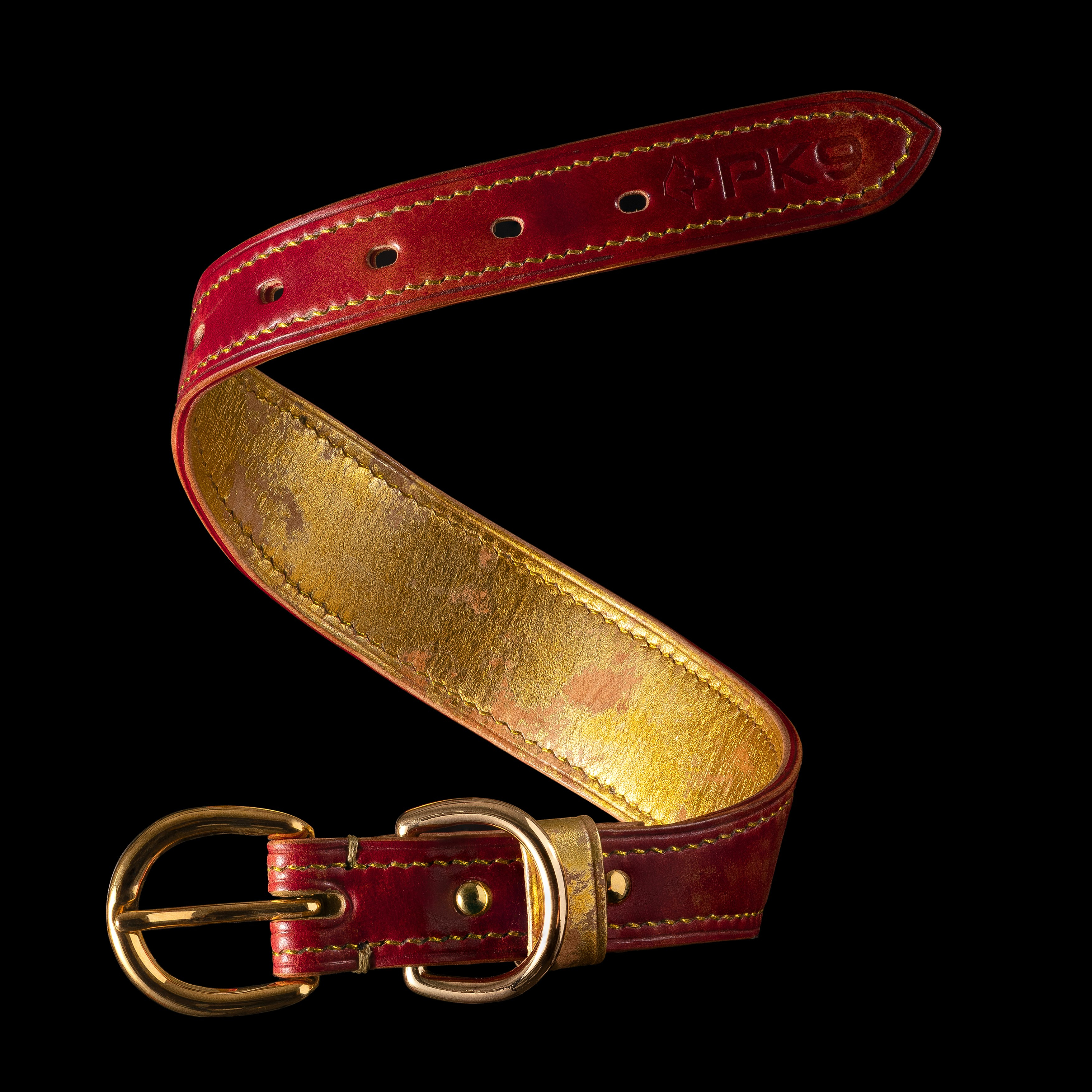 A leather dog collar with a brass buckle