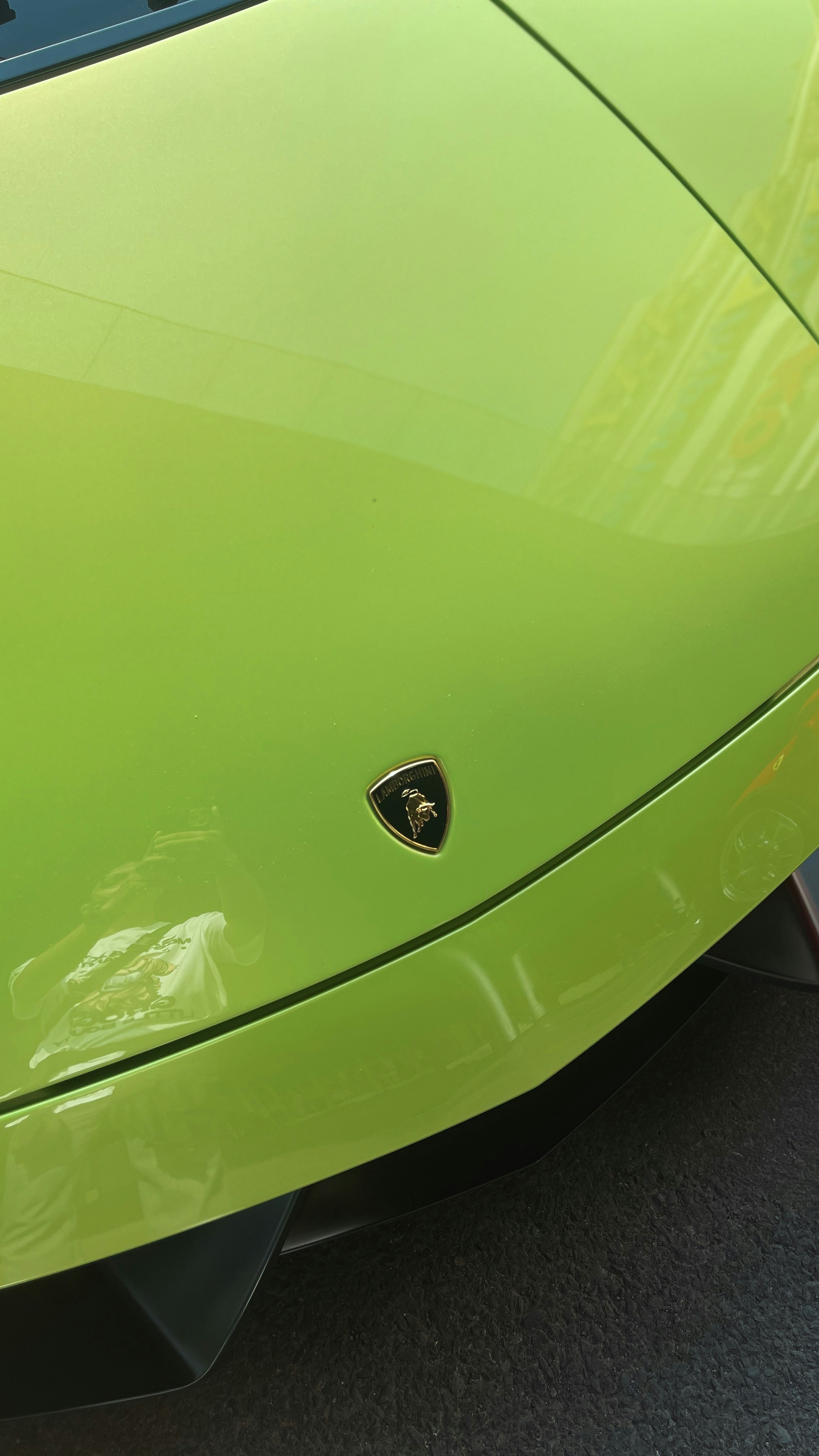 A bright green Lamborghini hood with a gold and black emblem