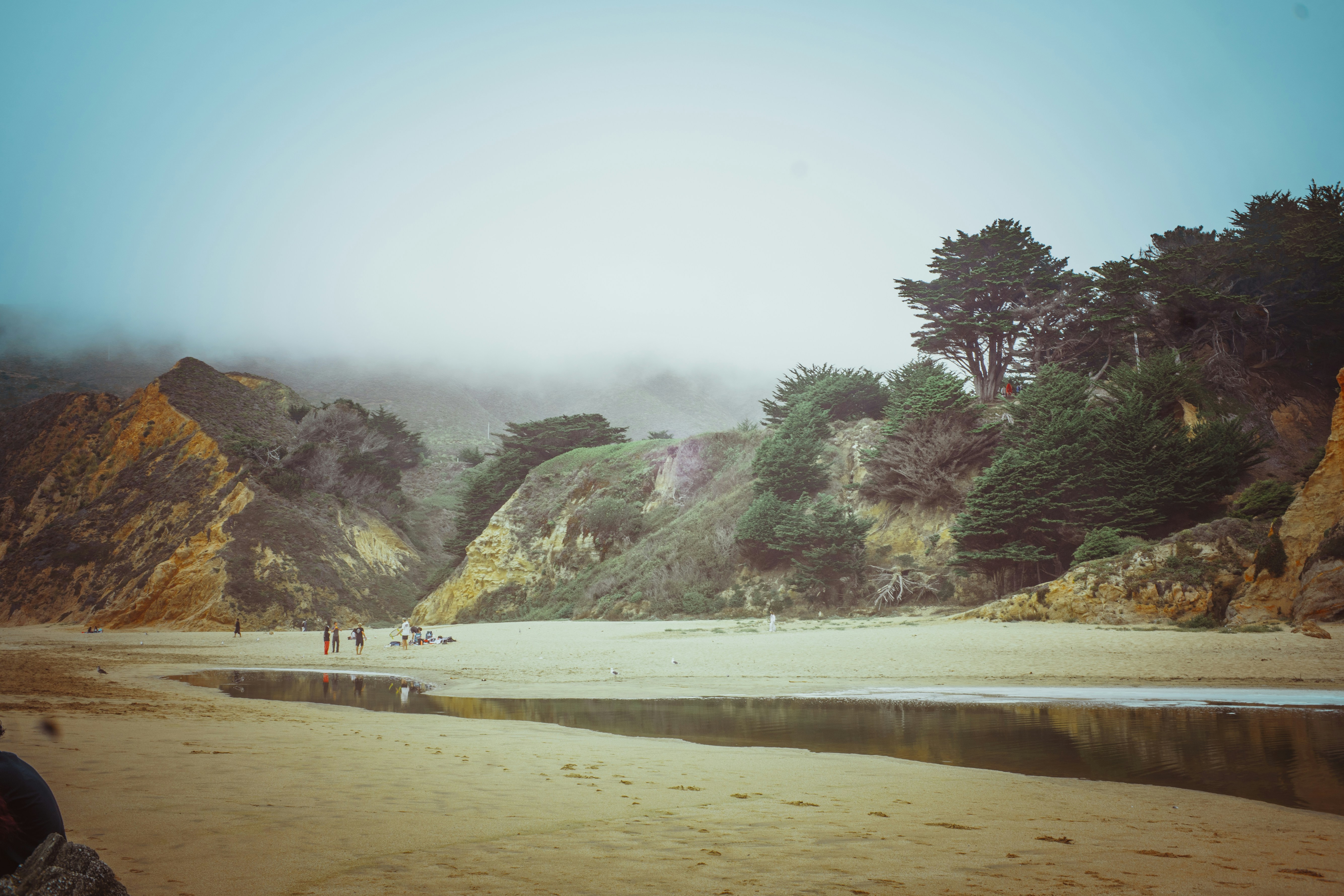 People on a sandy beach below steep cliffs and trees in thick fog