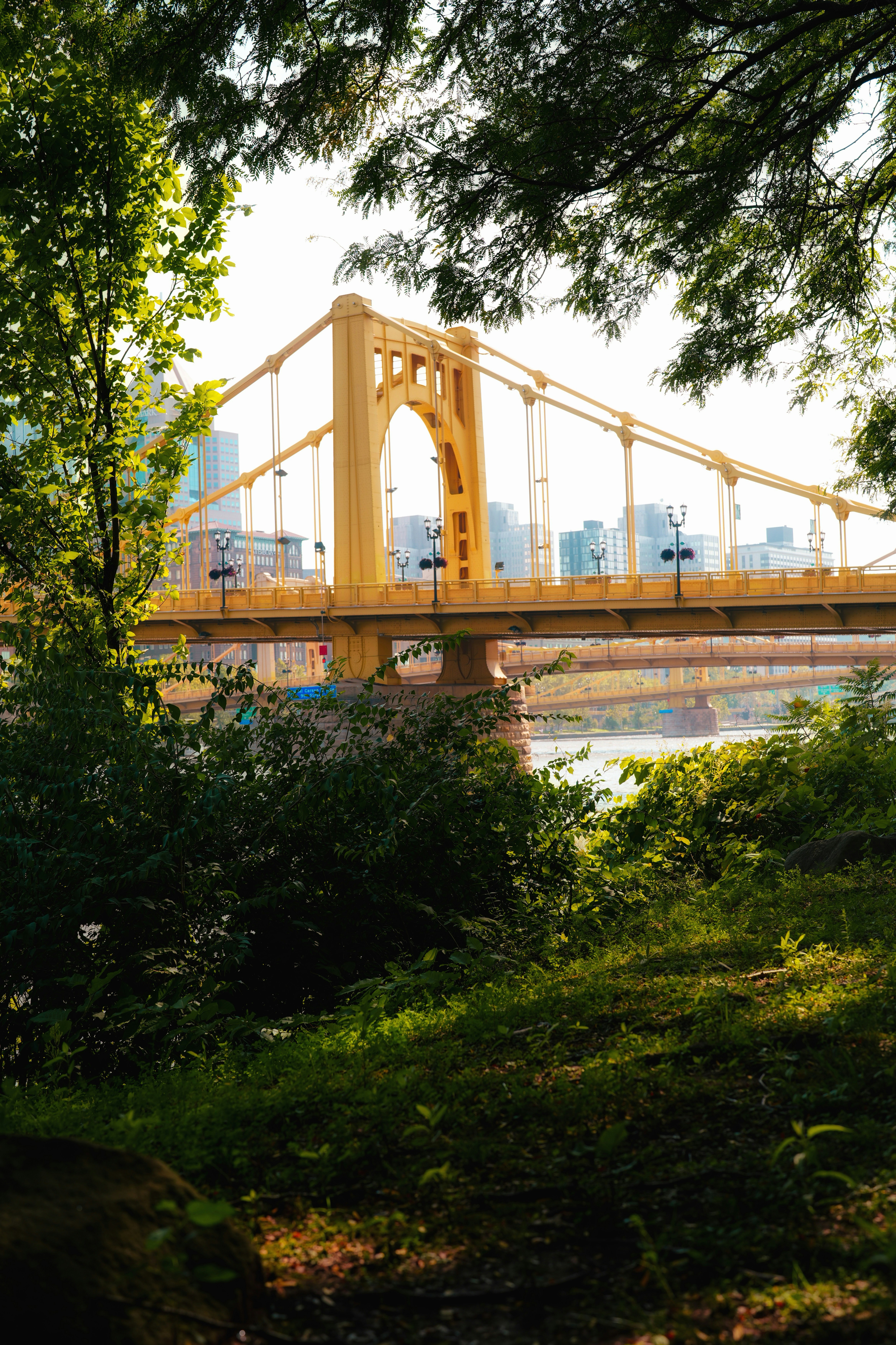 Le pont jaune Roberto Clemente enjambe une rivière à Pittsburgh, encadré d’arbres verts