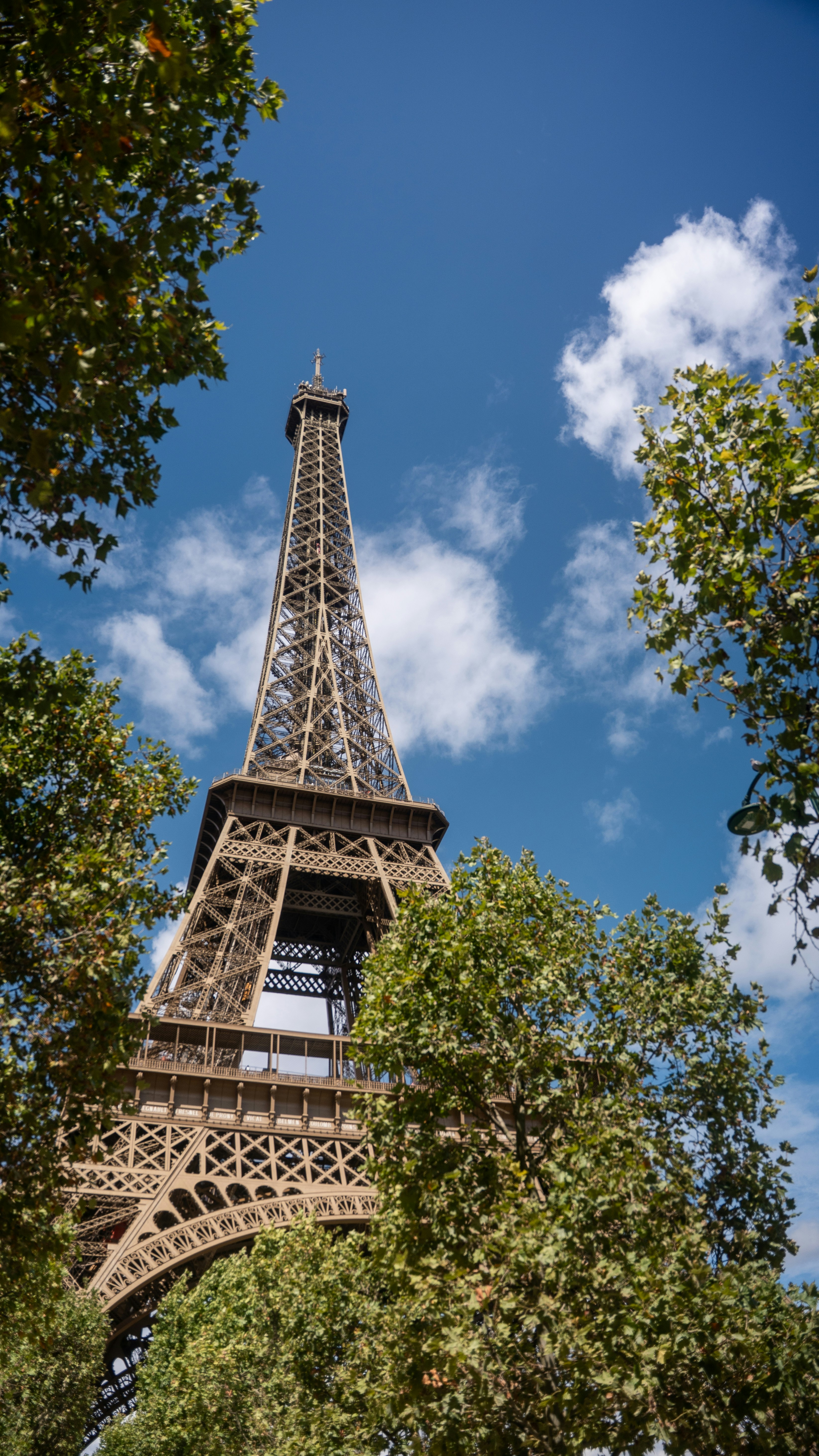 The Eiffel Tower framed by green tree branches against a bright blue sky