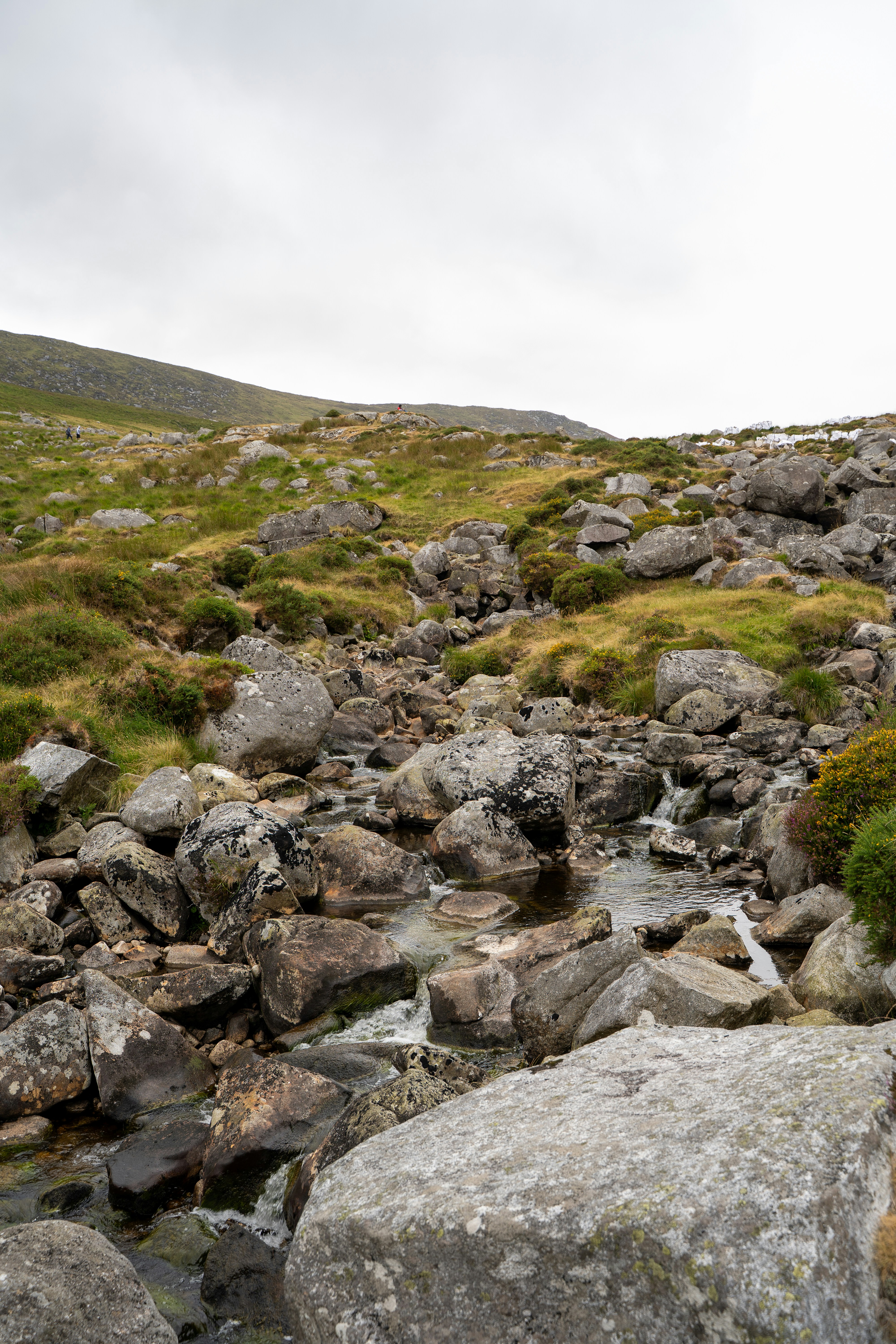 A small stream flowing through a rocky mountain landscape with green grass