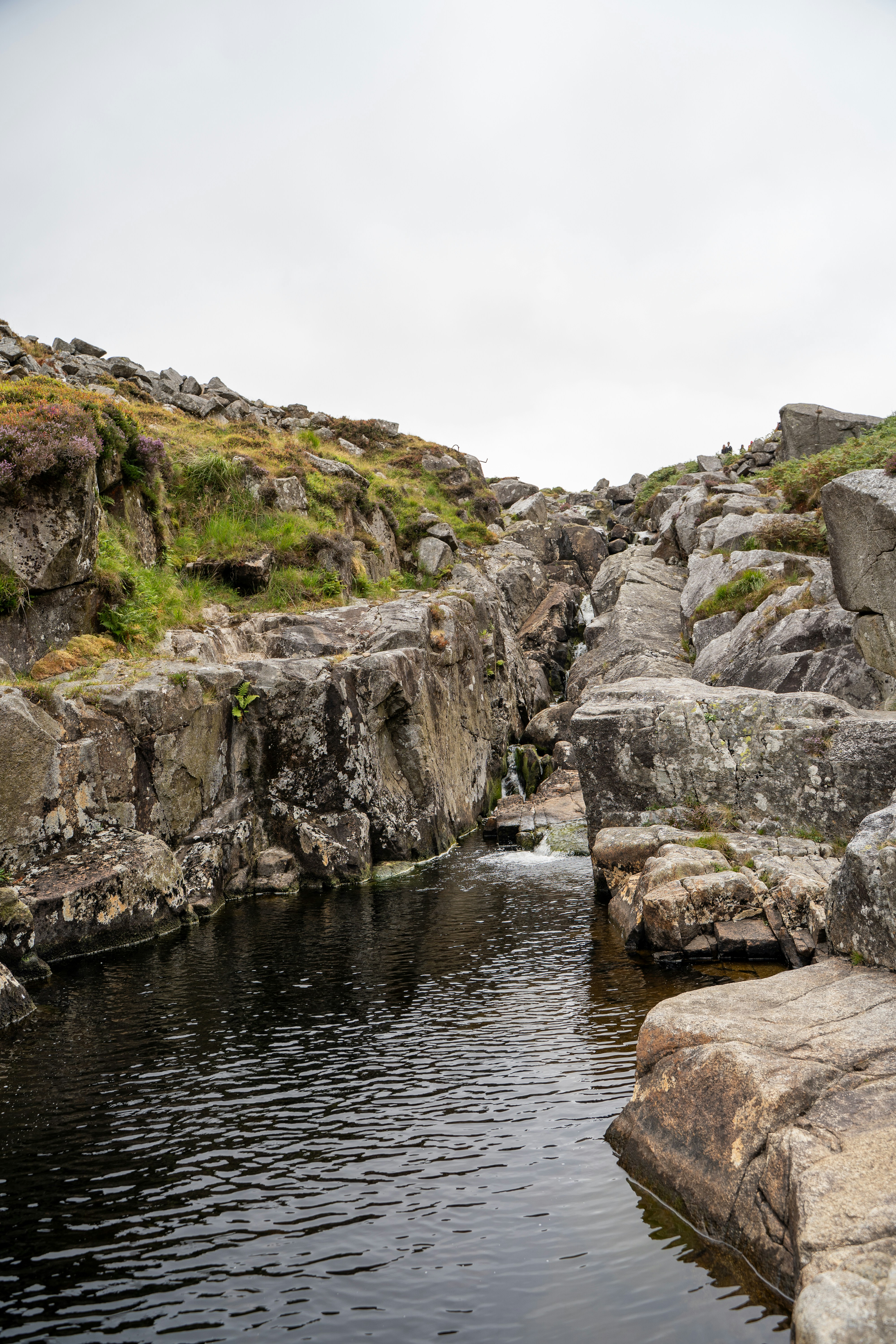 A small stream flowing through a rocky gorge with mossy banks
