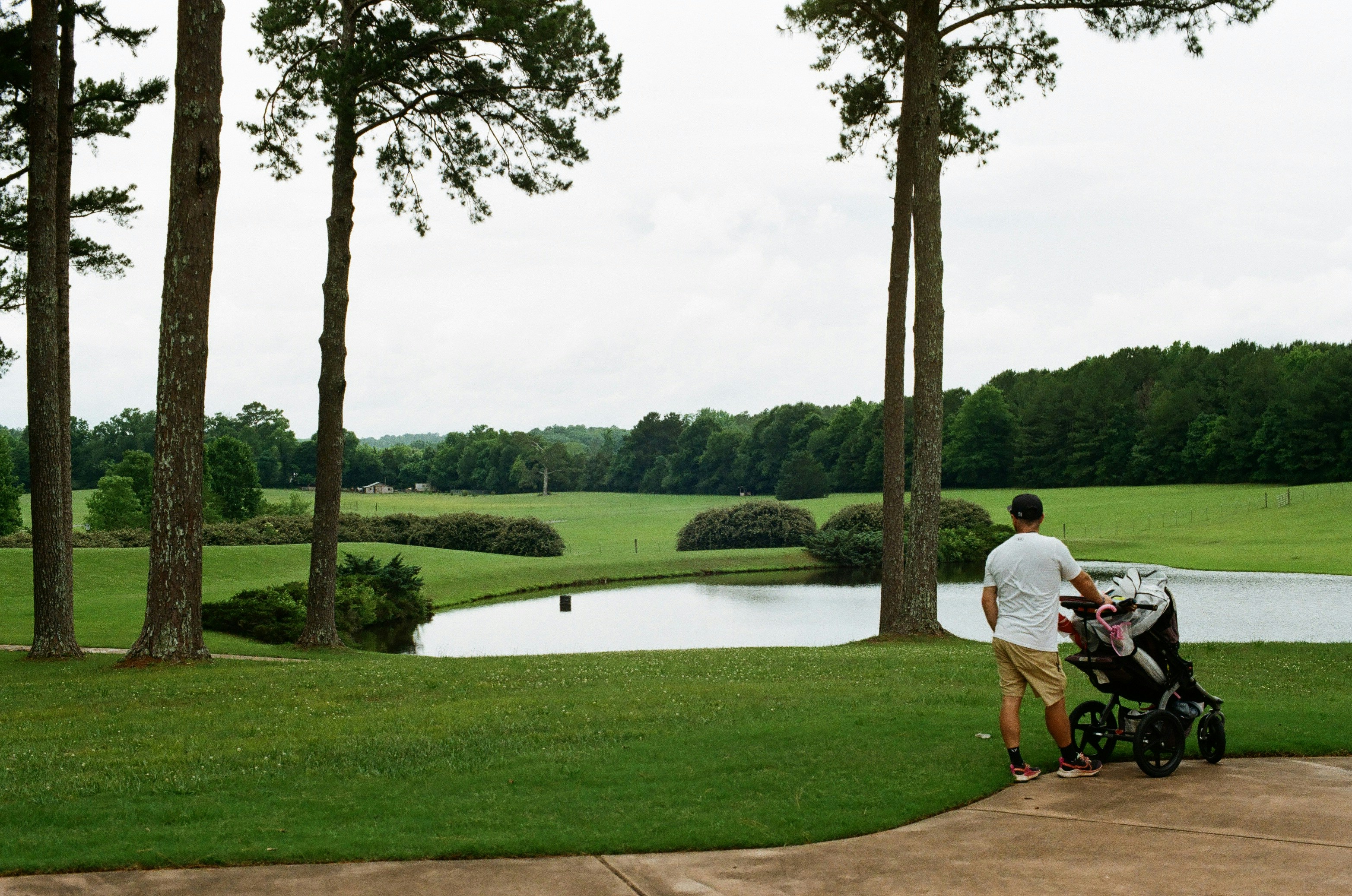 Father standing with a stroller on a path beside a pond on a green lawn, pines around him