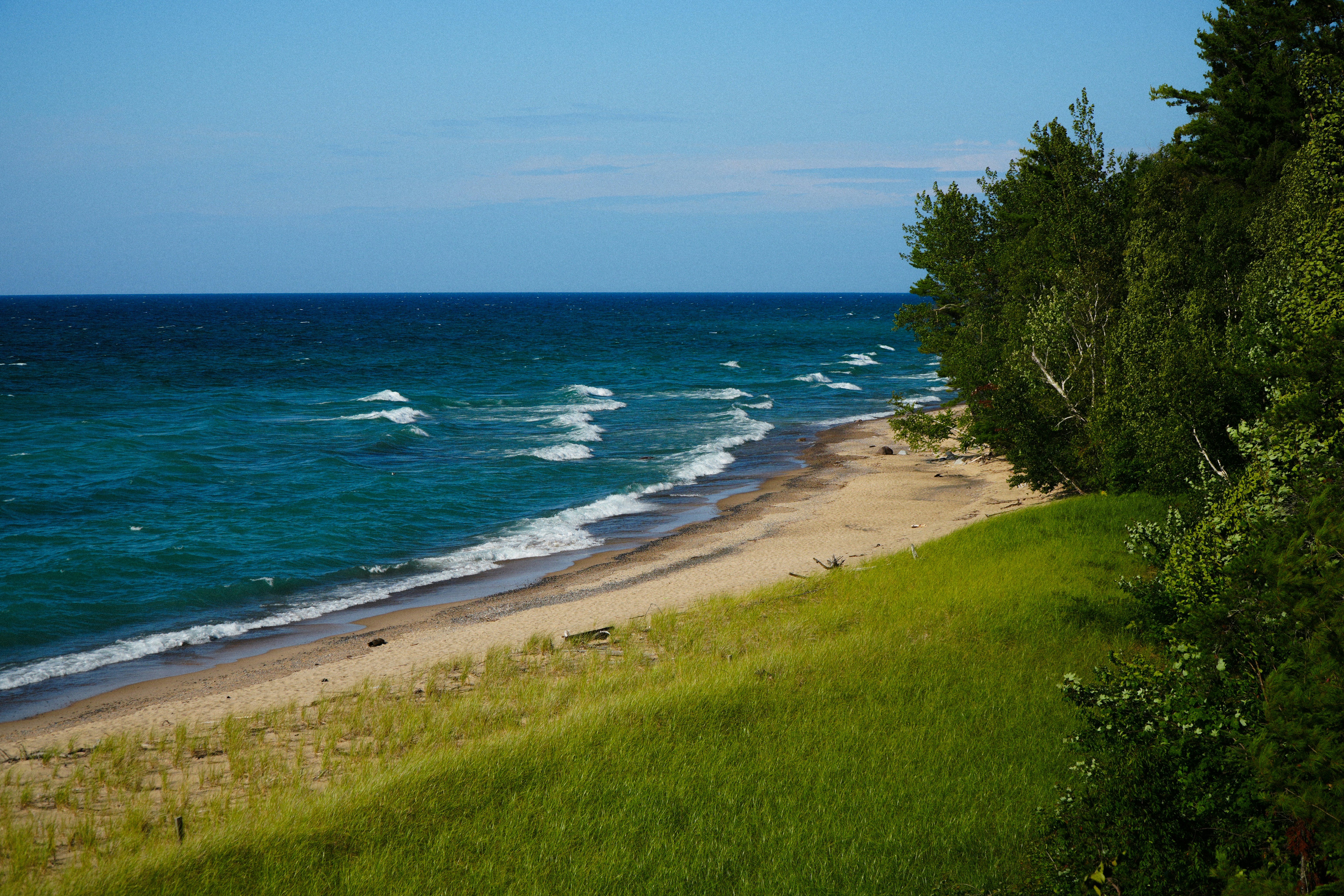 A sandy beach with waves meeting a grassy dune and forest edge