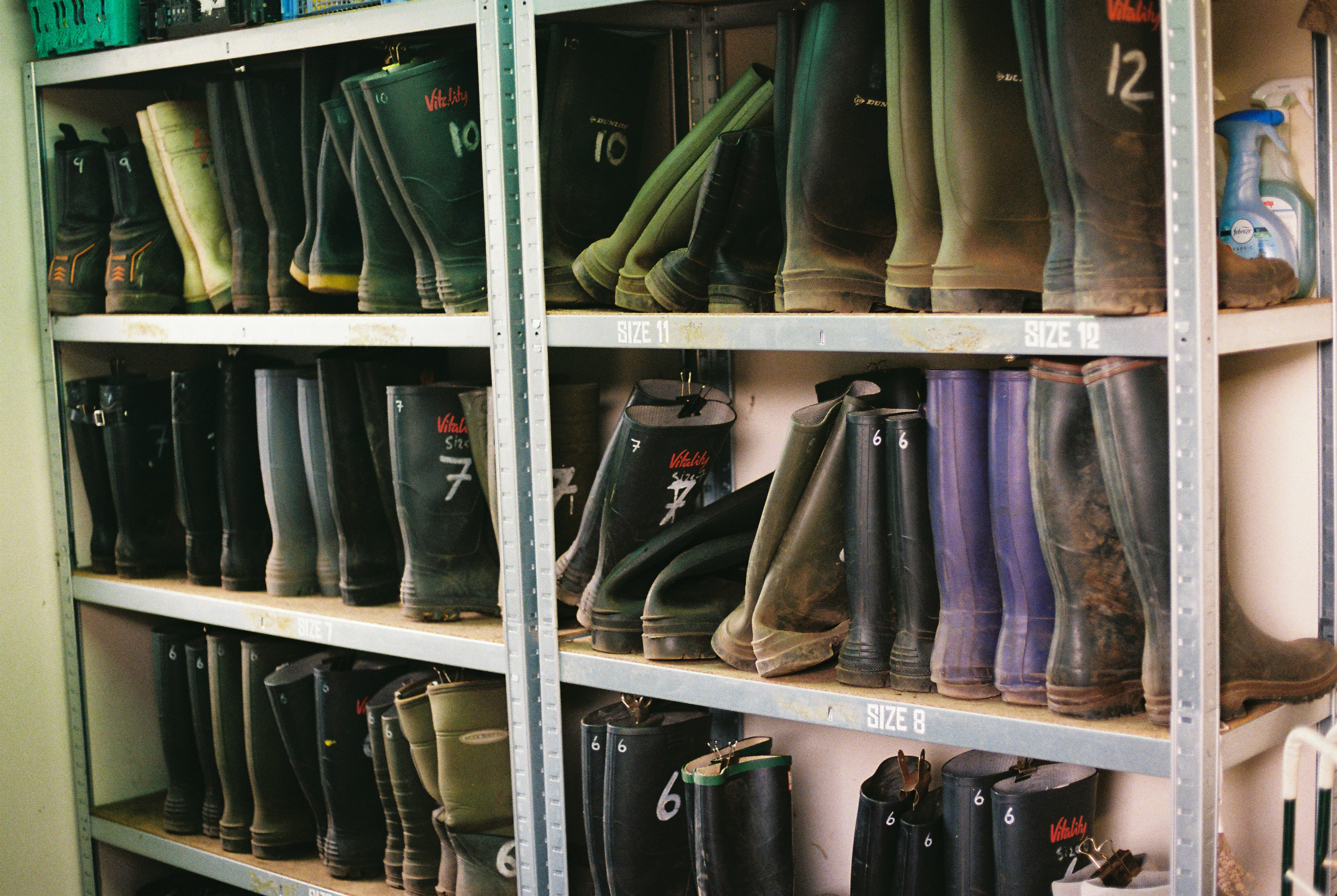 Rows of muddy wellington boots, sorted by size, line the shelves of the garden's boot store.