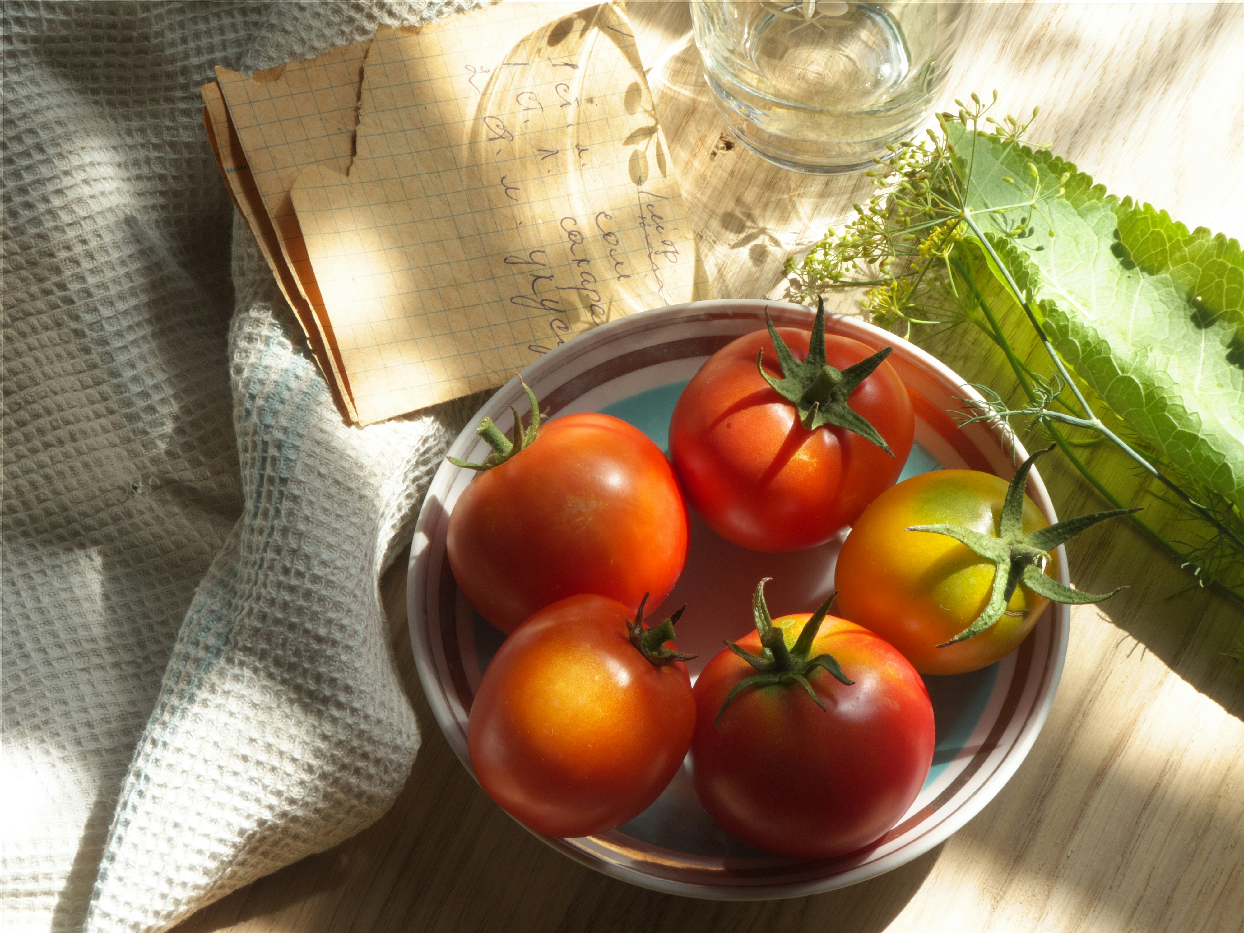 ripe tomatoes on kitchen counter