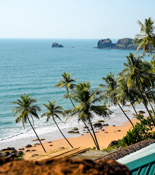 Palm trees leaning over a beach in Goa