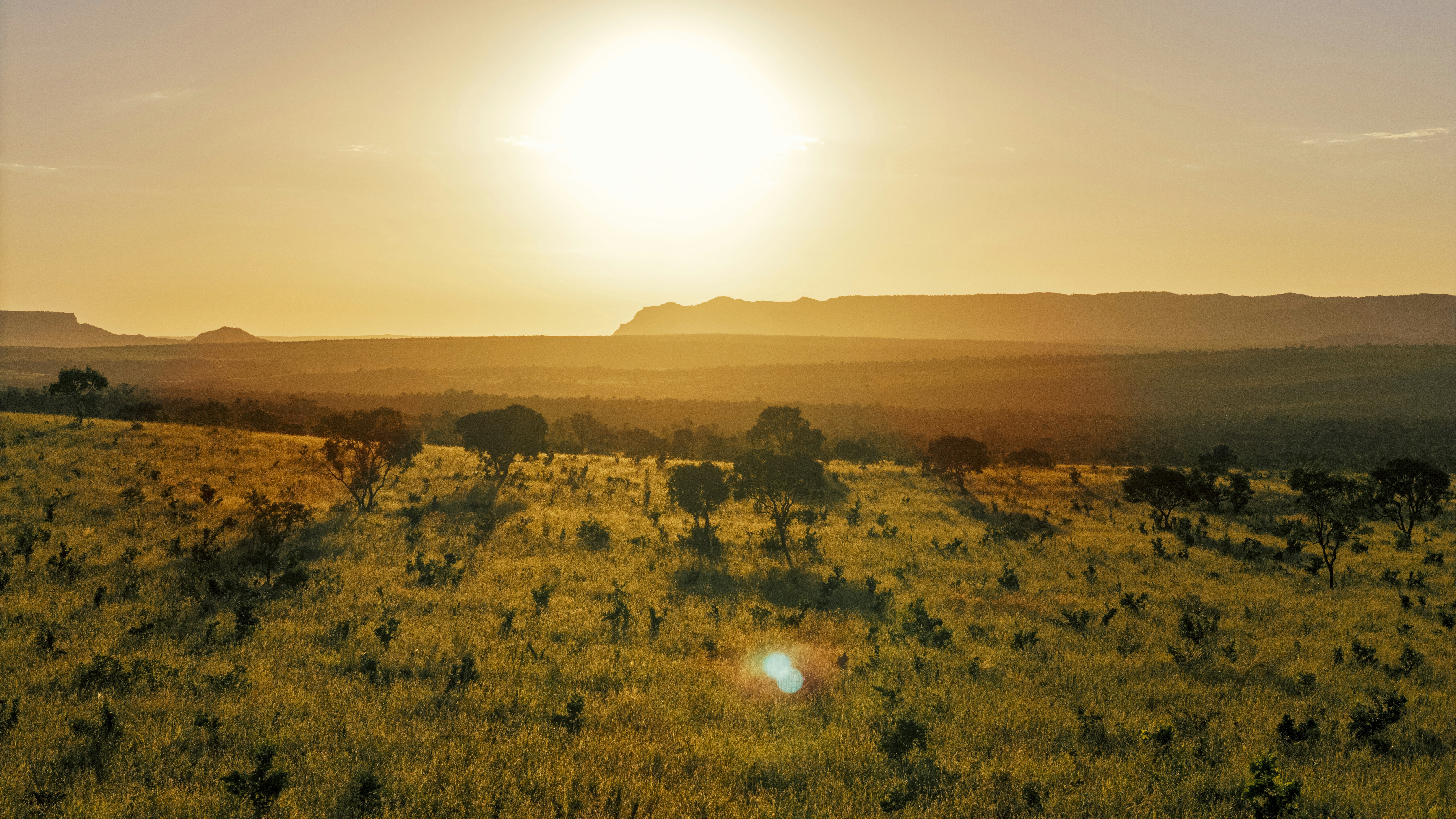 Low sun over a grassy savanna with scattered trees and distant hills