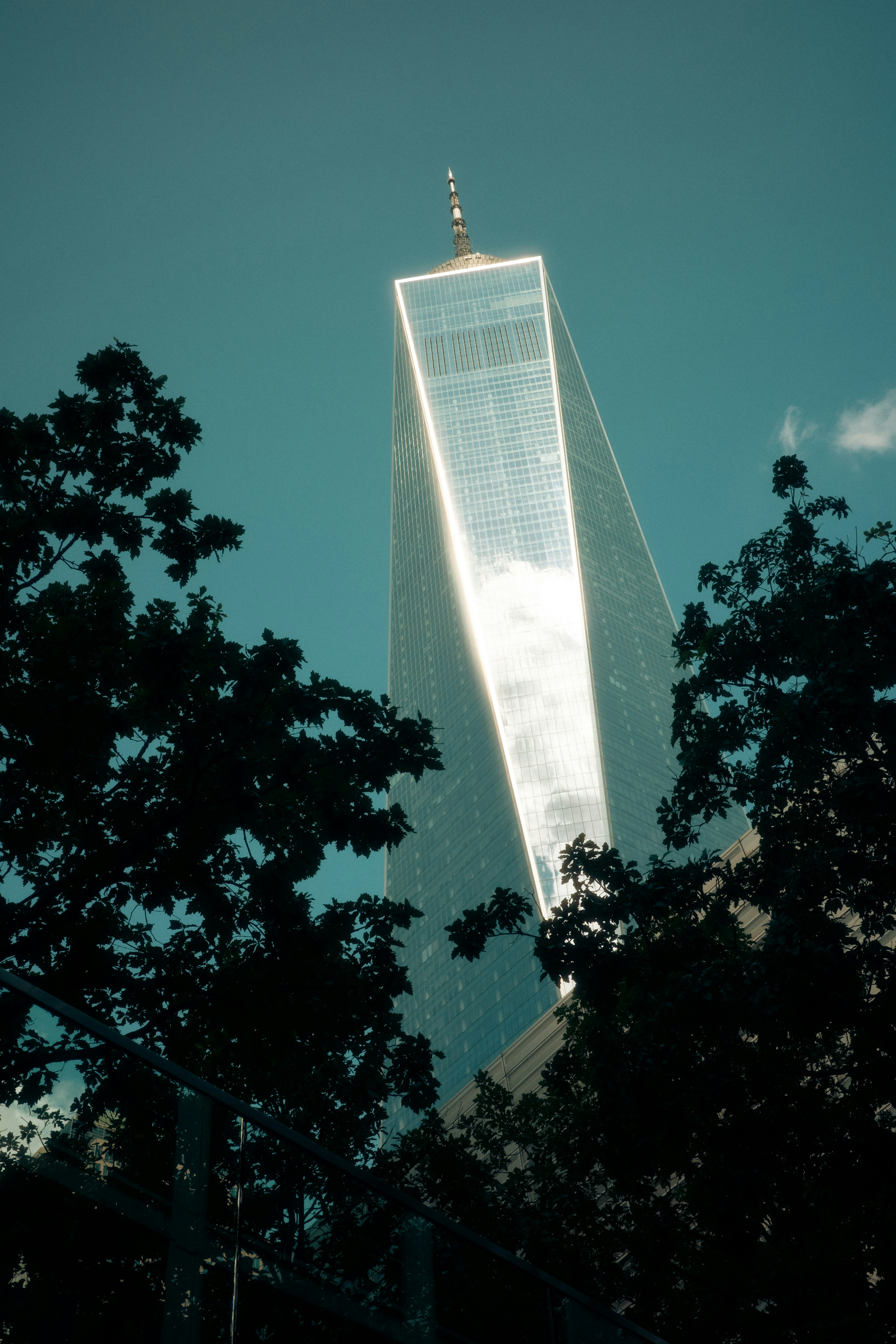 One World Trade Center rising above dark tree silhouettes against a clear blue sky