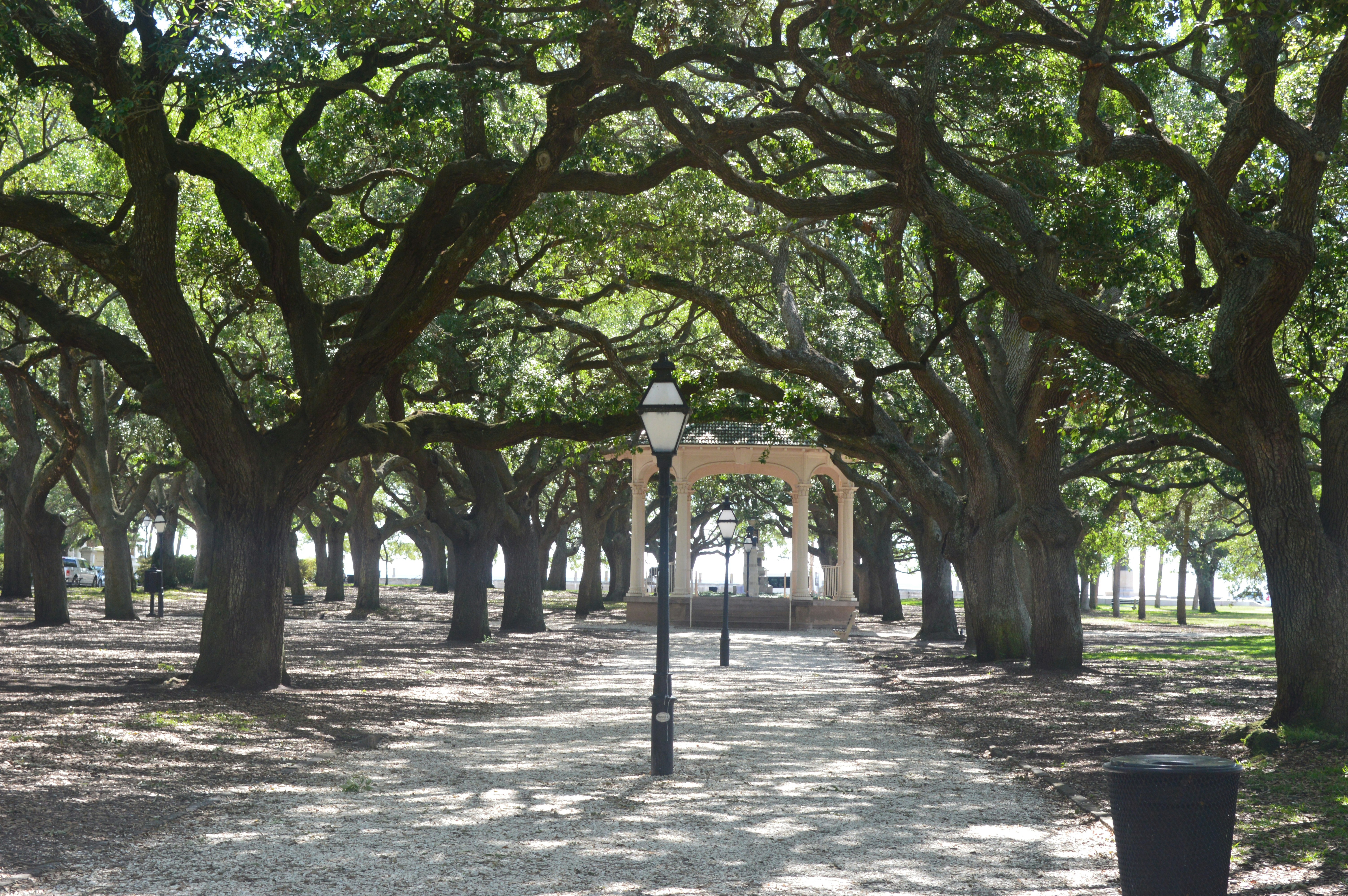 A gravel path beneath a canopy of large oak trees leading to a gazebo