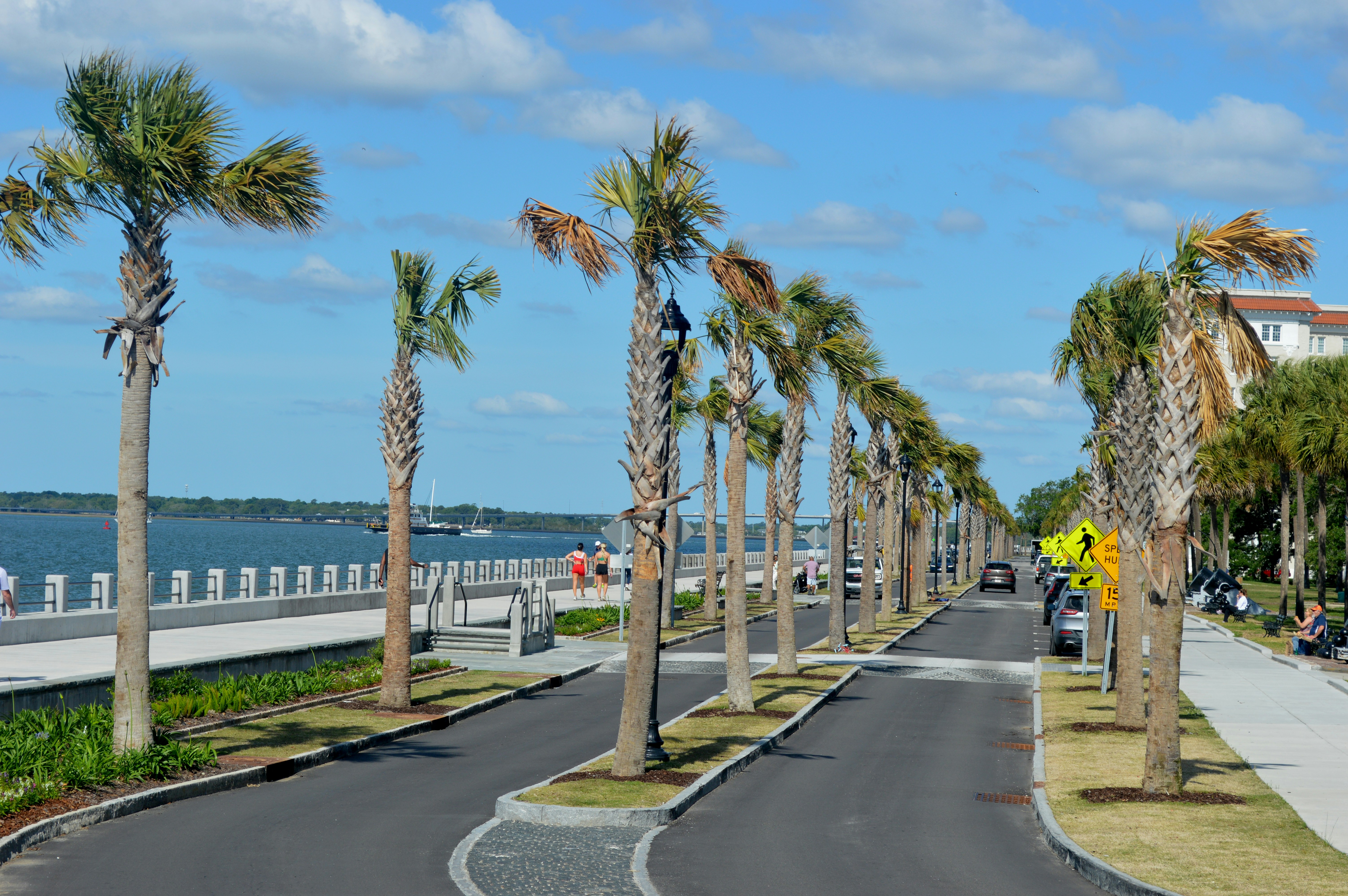 Palm-lined coastal street in Belmont Shore