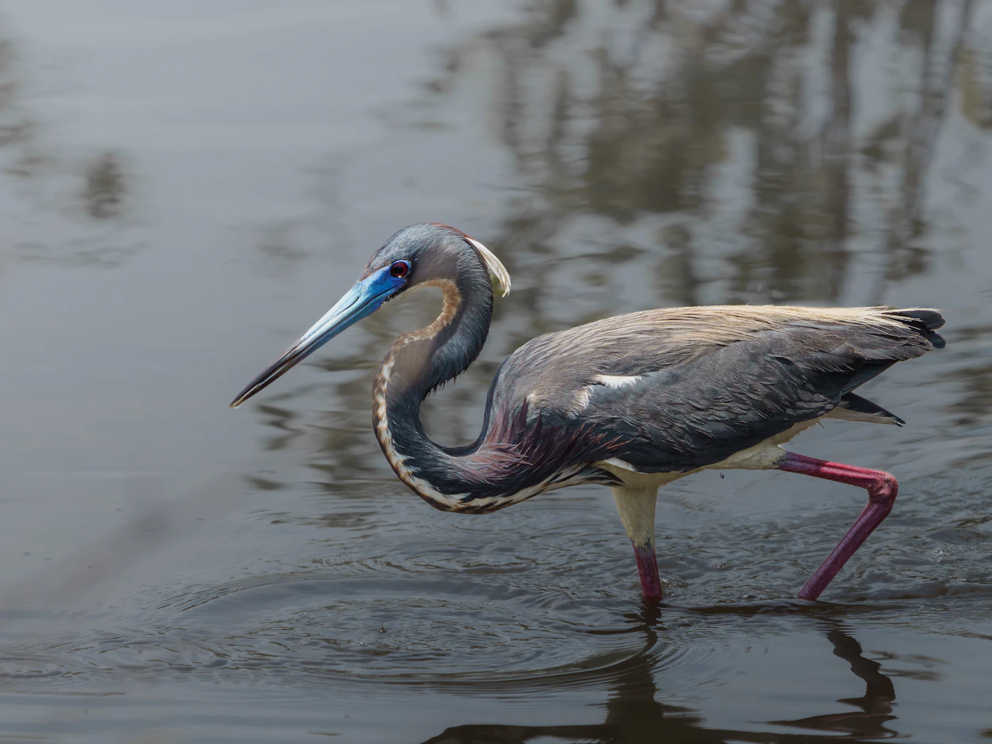 Illustrative nature reserve photo