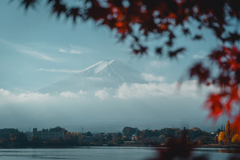 Lake Kawaguchiko autumn maple leaves framing Mount Fuji