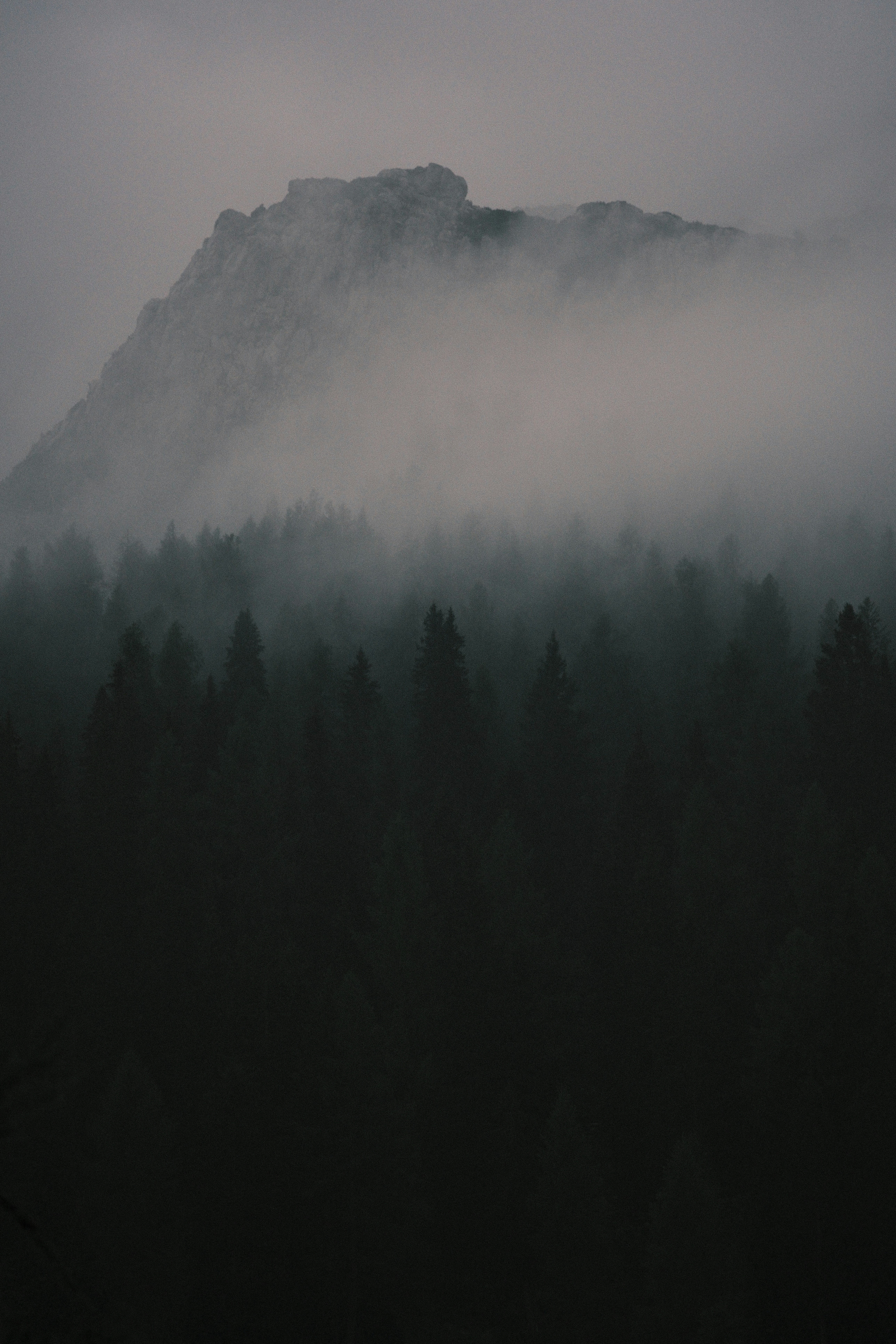 A rocky mountain peak rising above a dense forest shrouded in thick fog