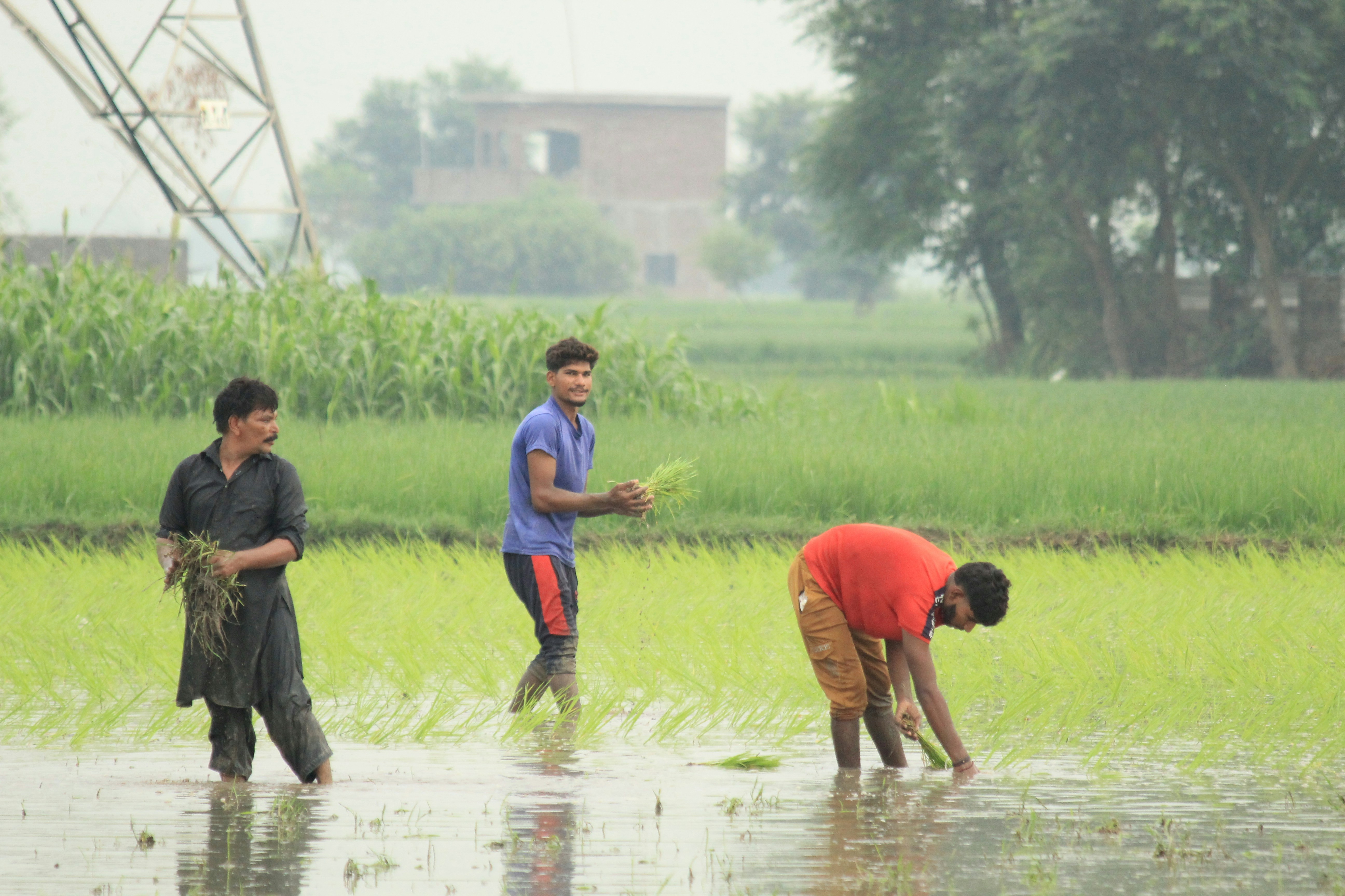 पहाड़ों में बारिश से धुंधली सड़क पर भूस्खलन के बाद फंसे कुछ वाहन और जेसीबी मशीन मलबा हटाती हुई दिख रही है।