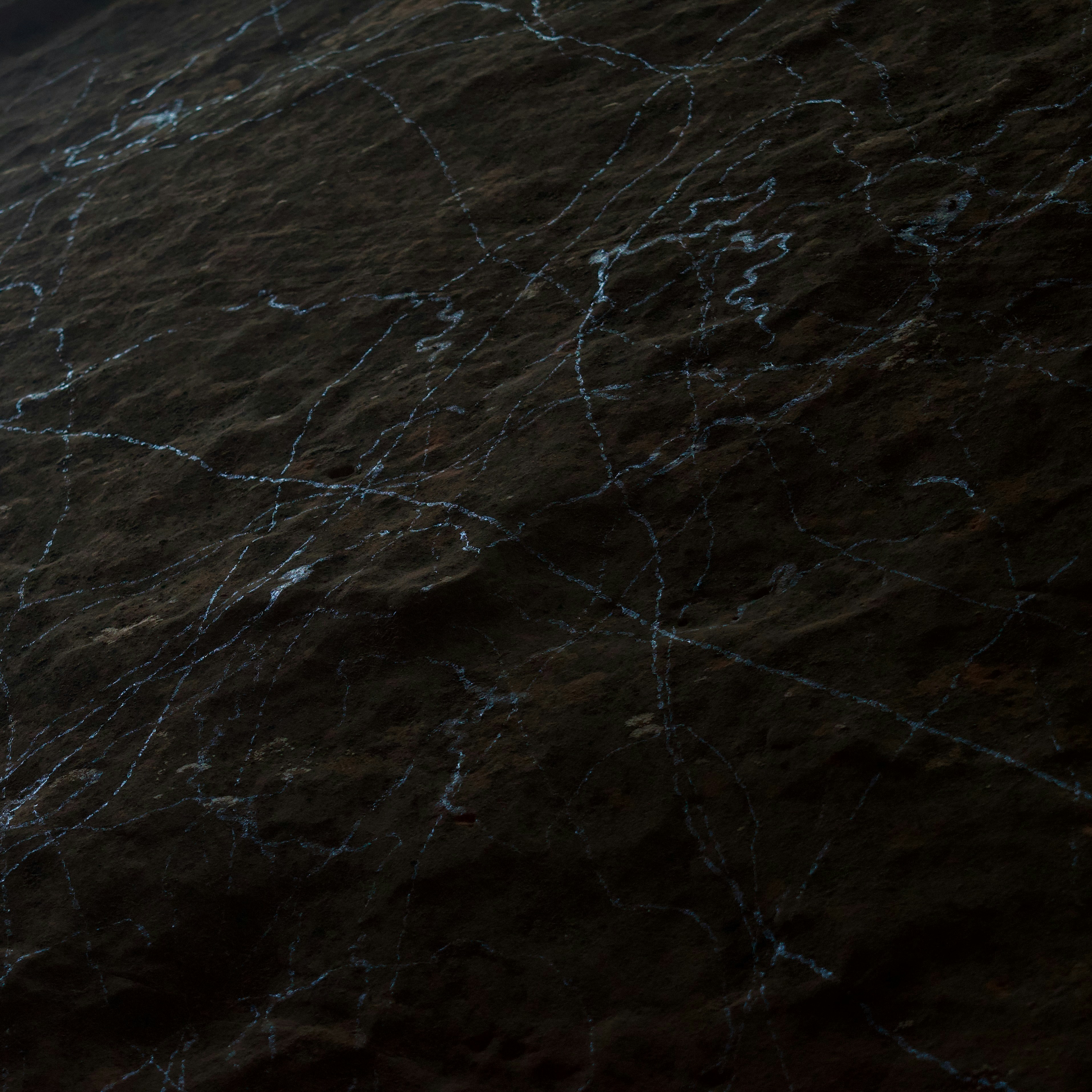 Thin white lines etched into a dark brown textured rock surface