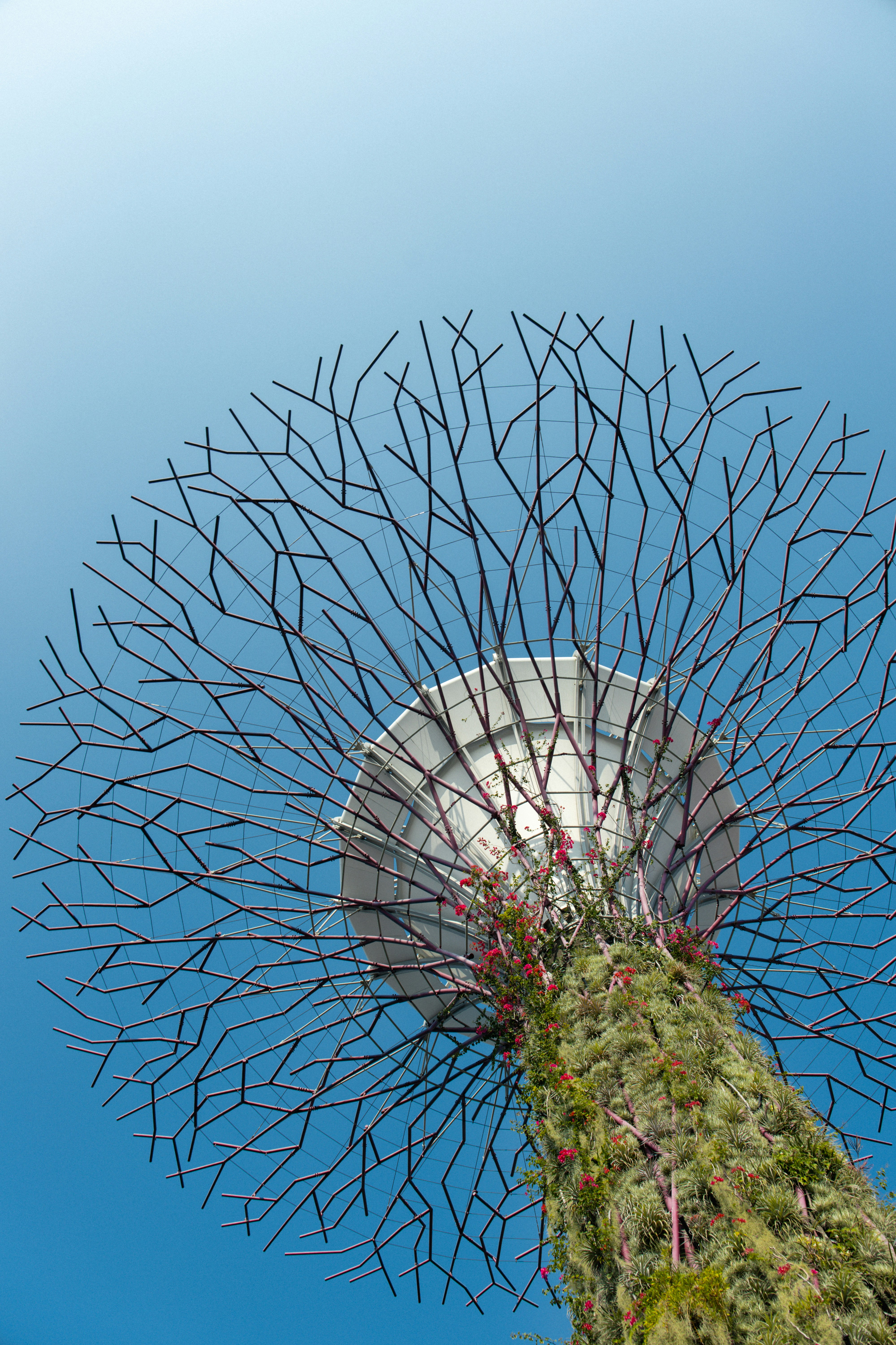 Une structure en Superarbre avec un auvent métallique ramifié sur un ciel bleu clair