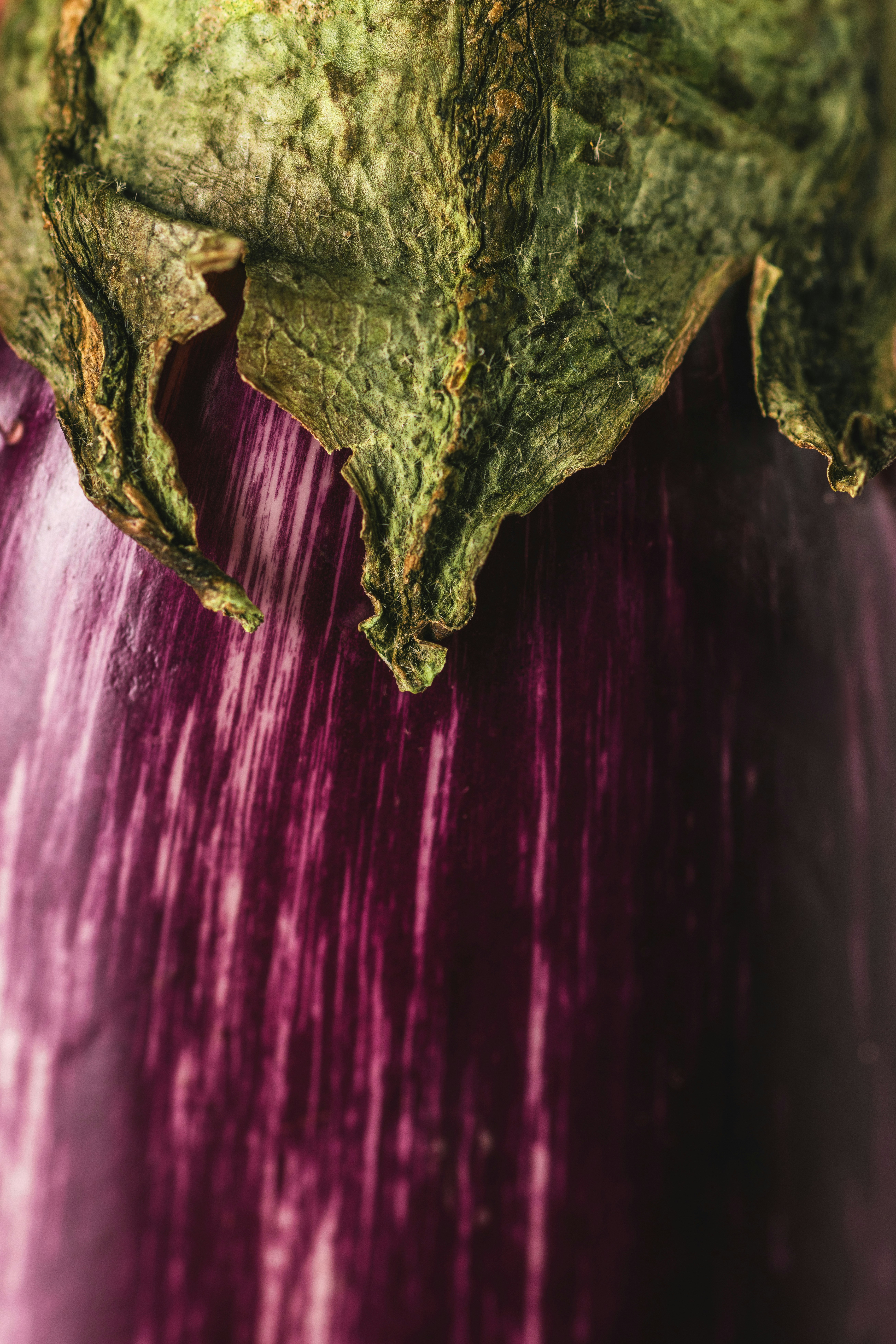 A close-up of a purple and white striped eggplant with a green calyx