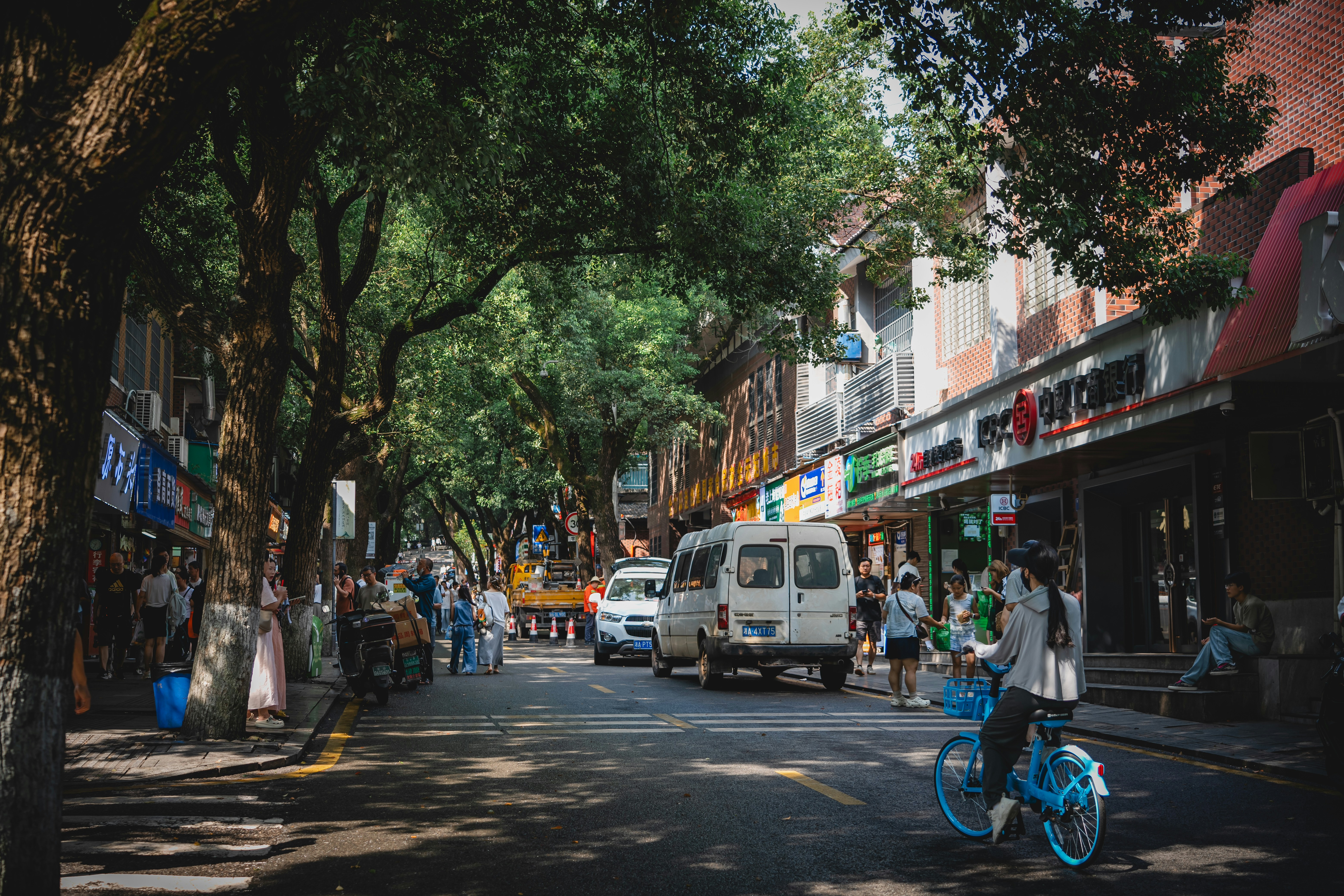 Person cycling a blue bicycle on a leafy street